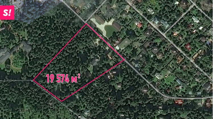 Фото: соцсети