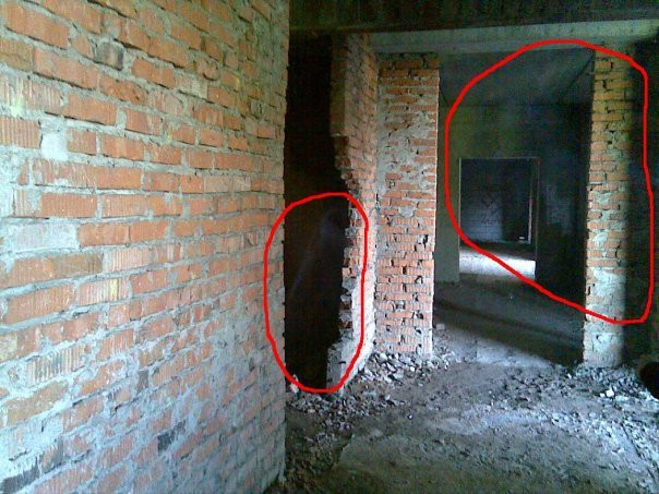 Фото: соцсети