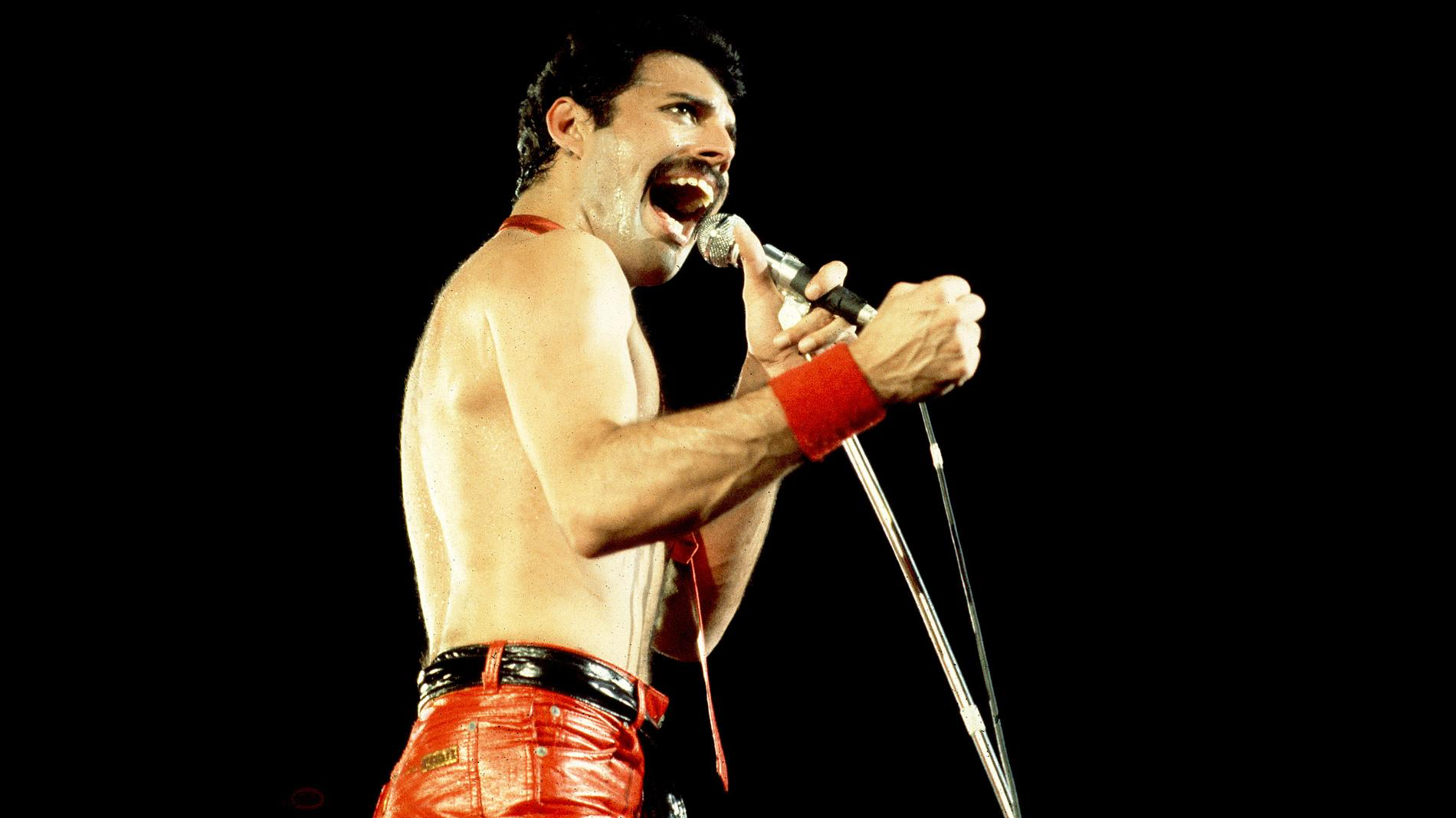 Фредди Меркьюри. Фото: Getty Images