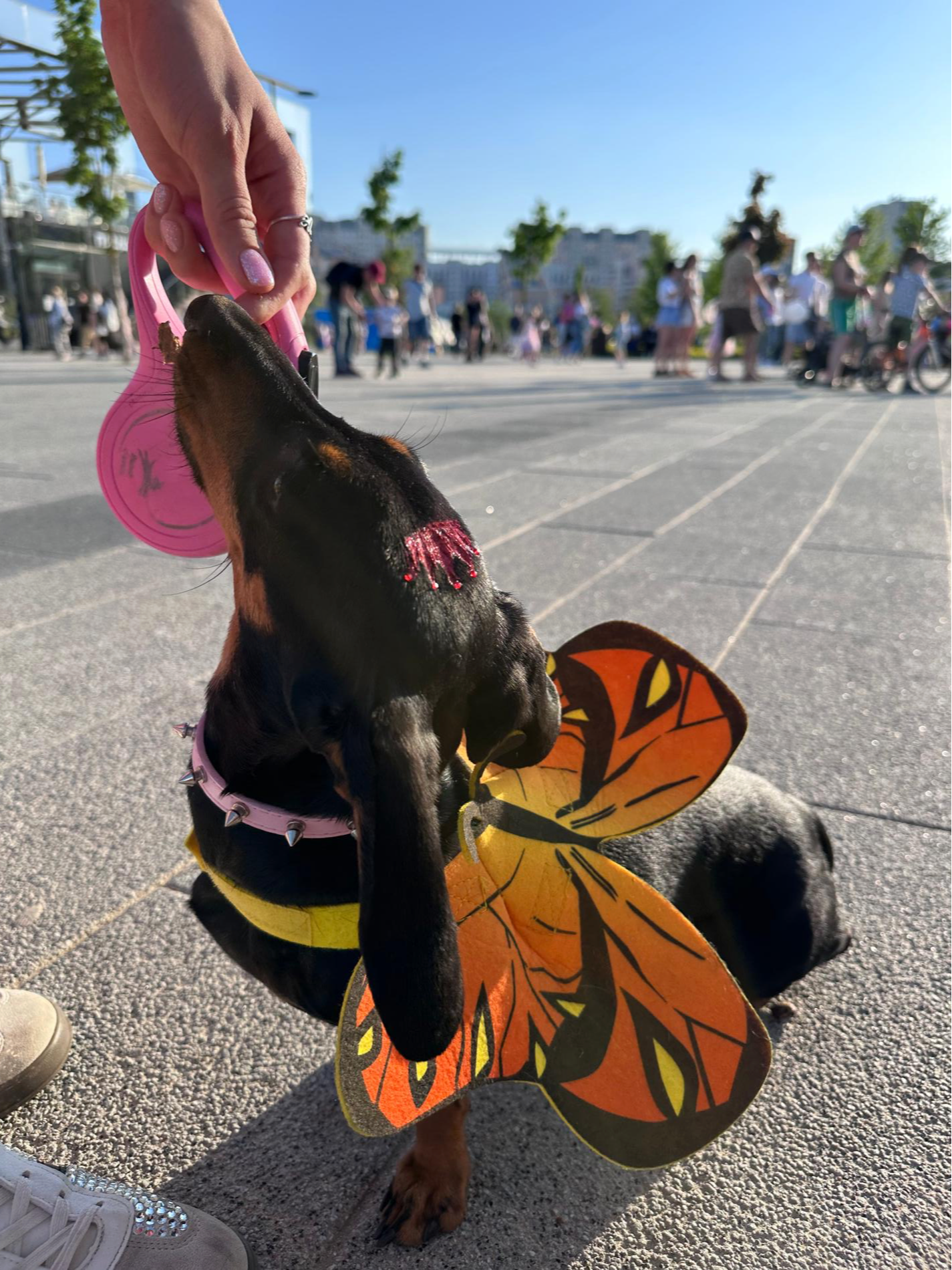 Участник фестиваля «Лапки». Фото: Super