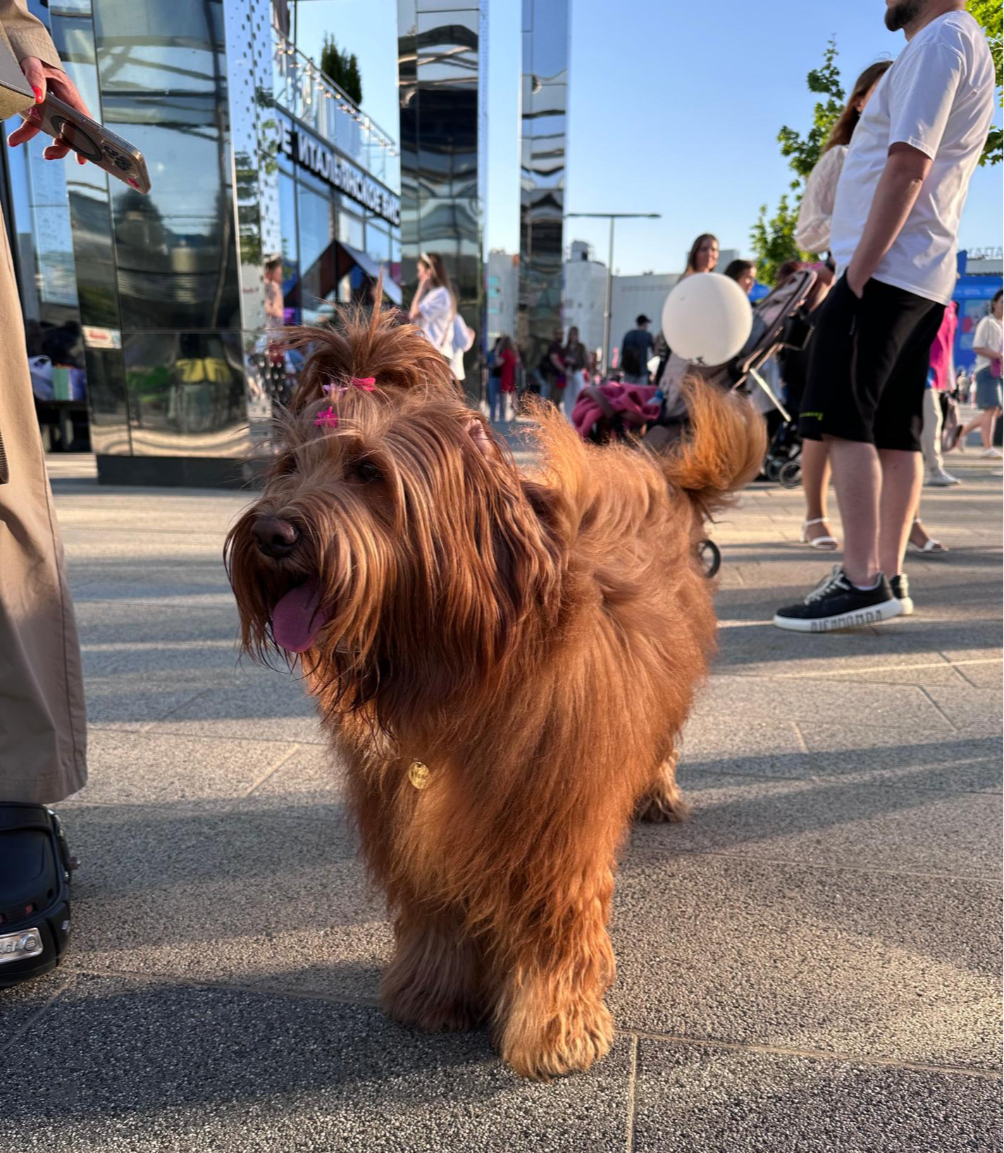 Участник фестиваля «Лапки». Фото: Super