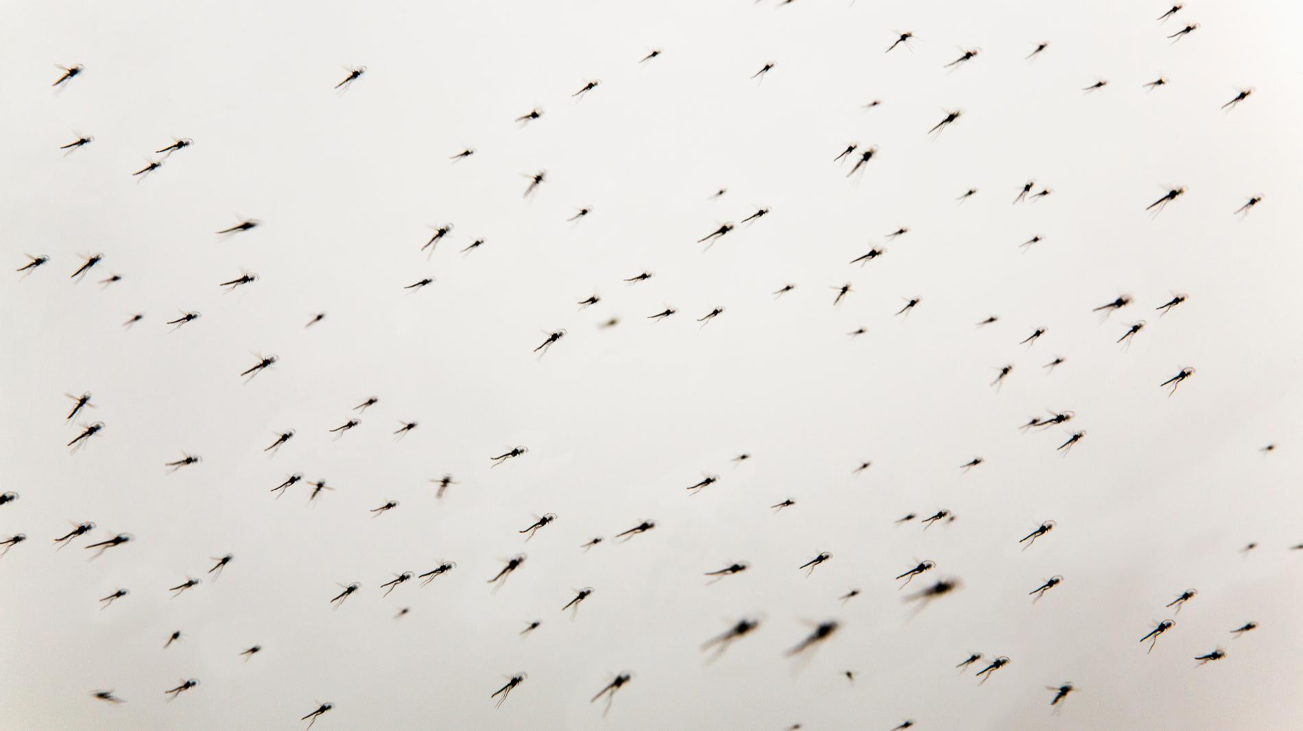 Фото: Getty Images