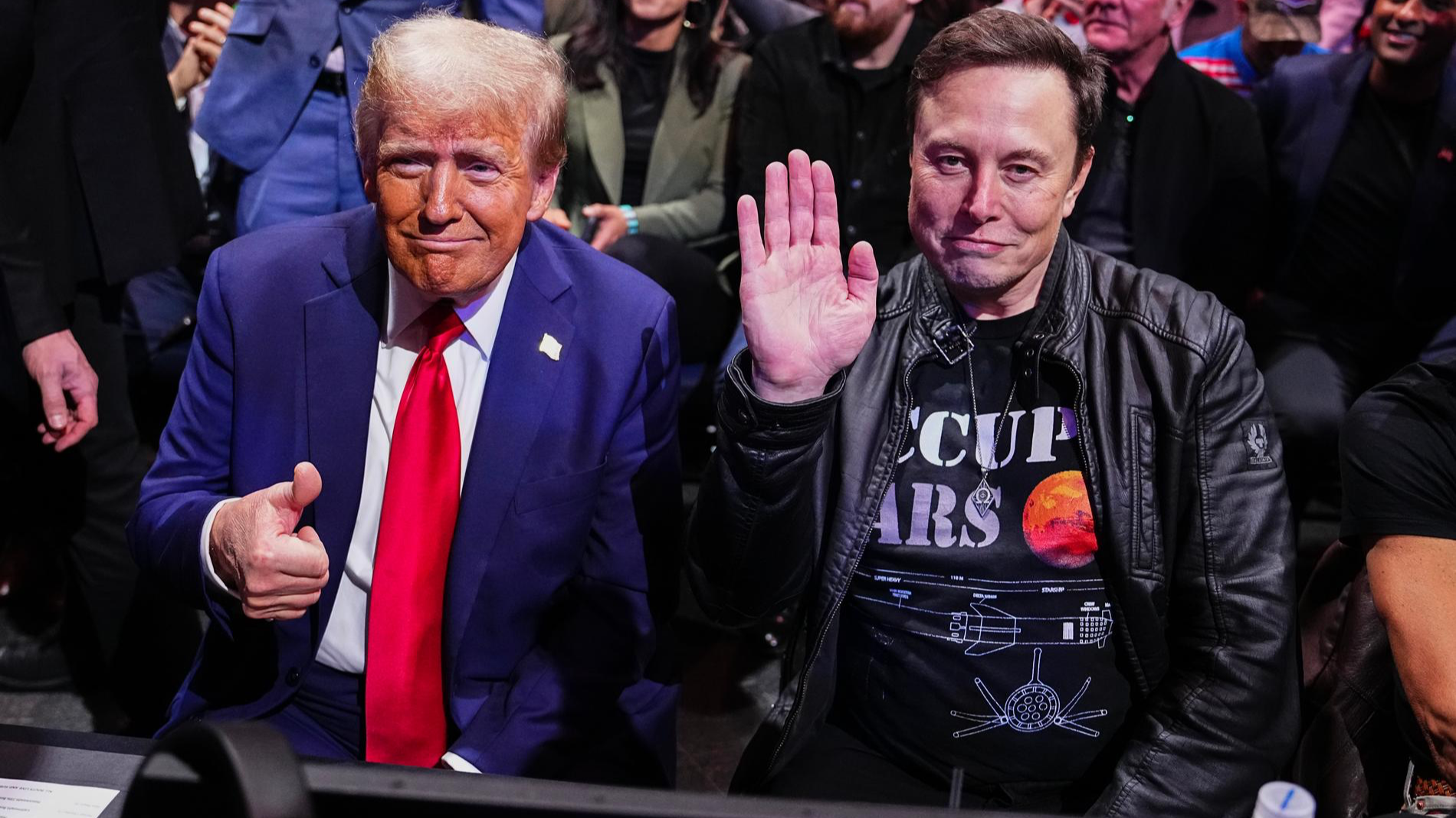 Дональд Трамп и Илон Маск. Фото: Getty Images