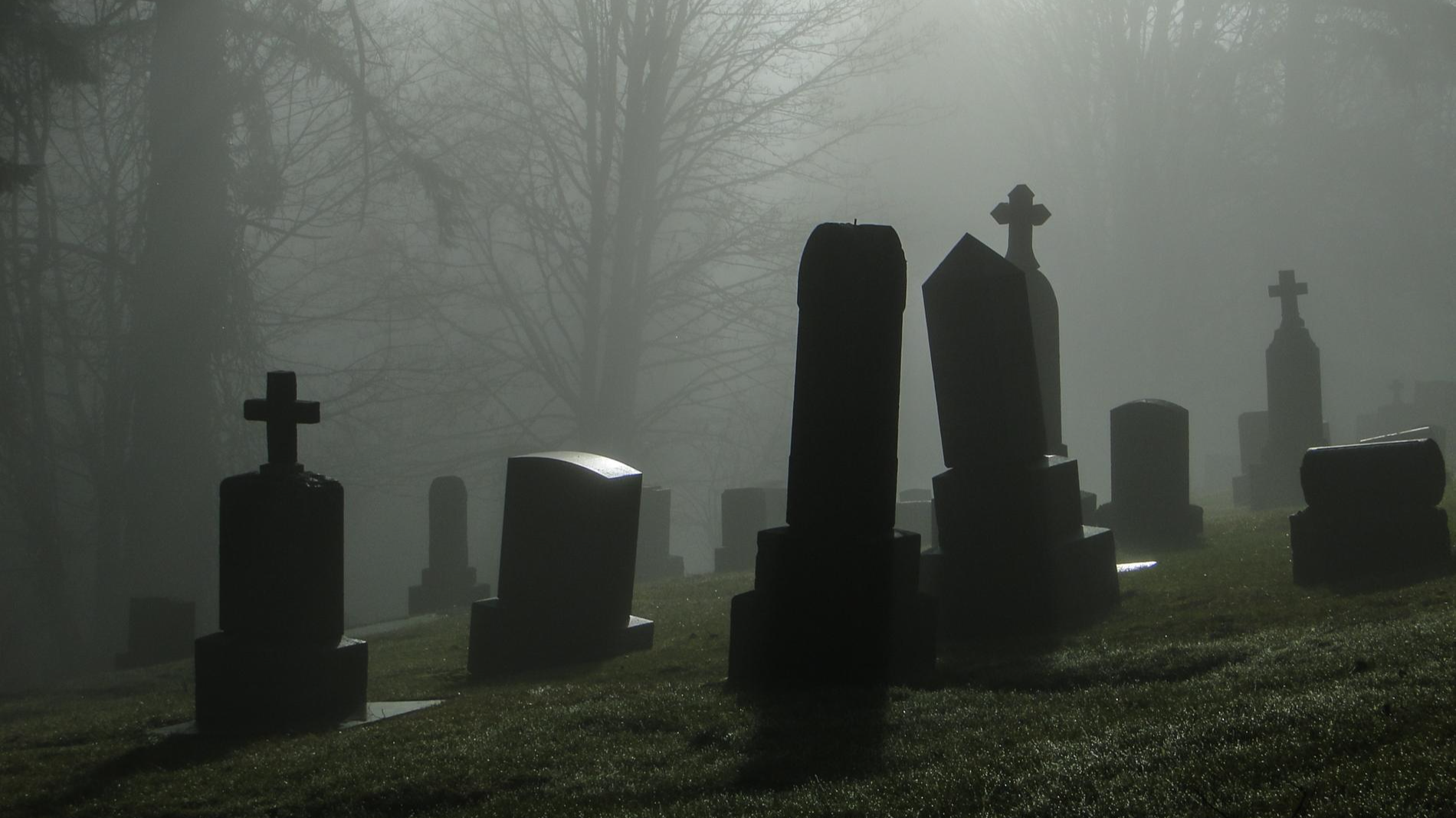 Фото: Getty Images