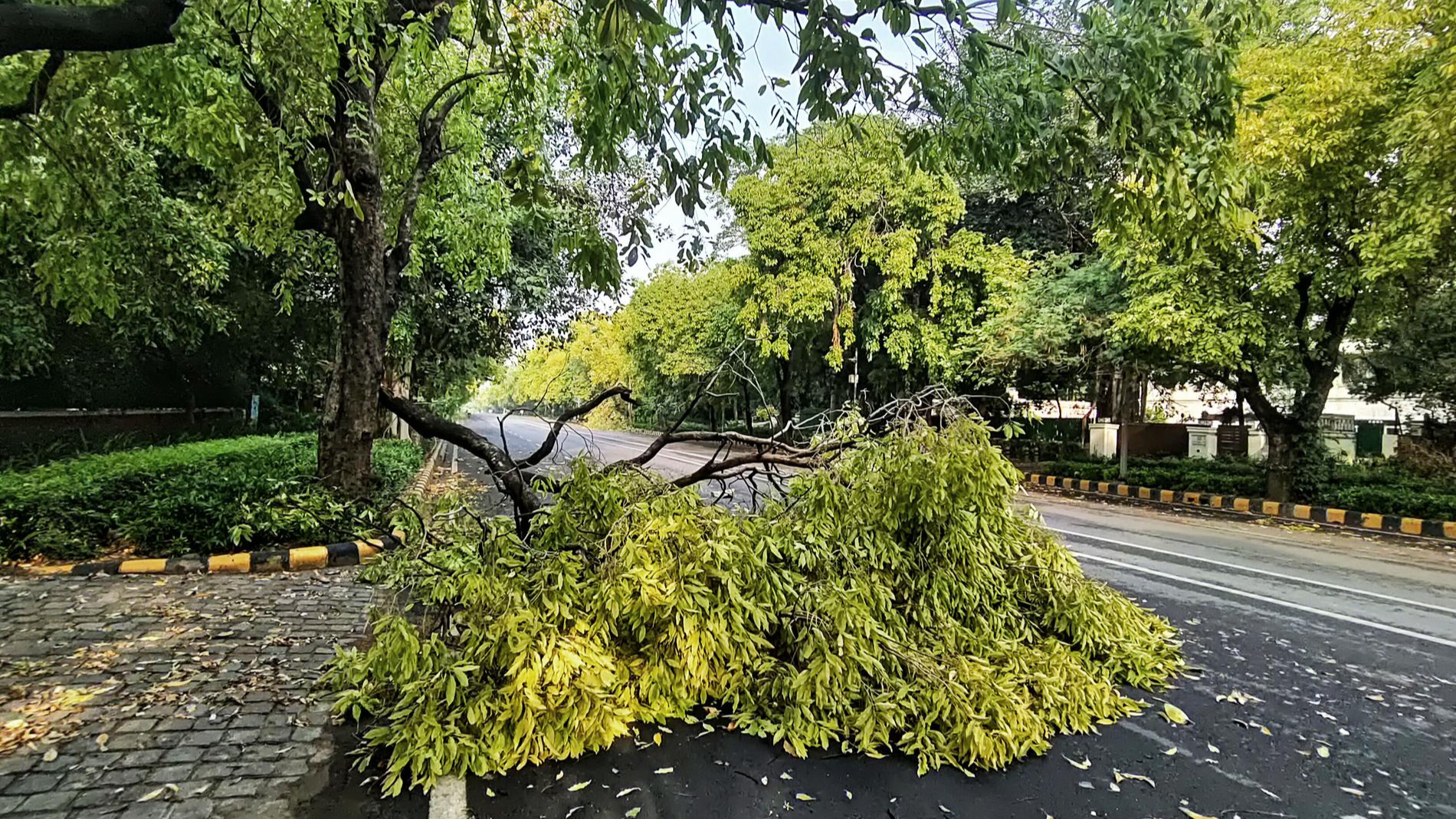 Фото: Getty Images