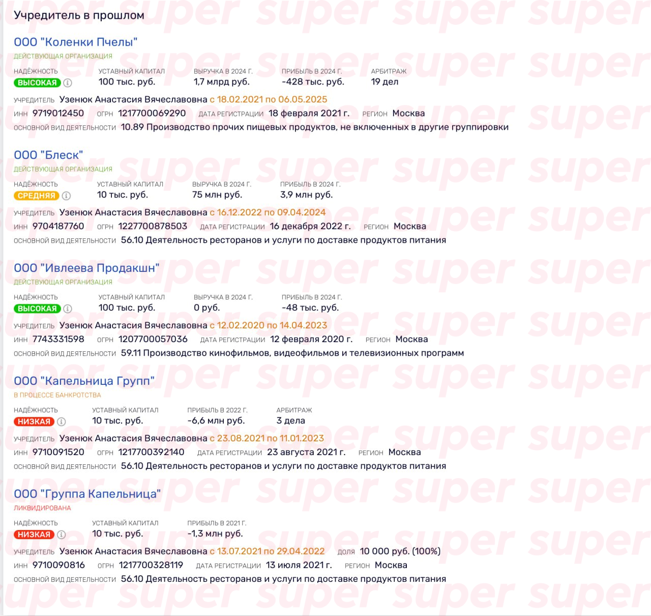 Данные о бизнесе Насти Ивлеевой. Фото: Rusprofile