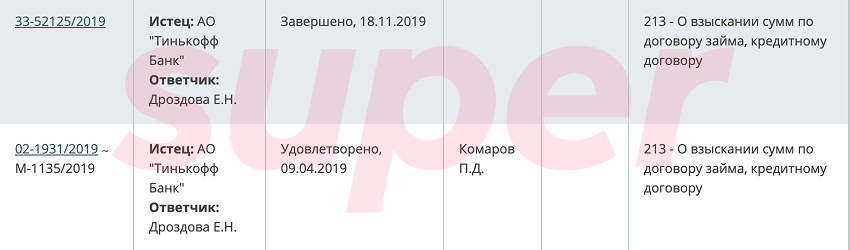 Суд Елены Дроздовой. Фото: портал Мировых судей города Москвы