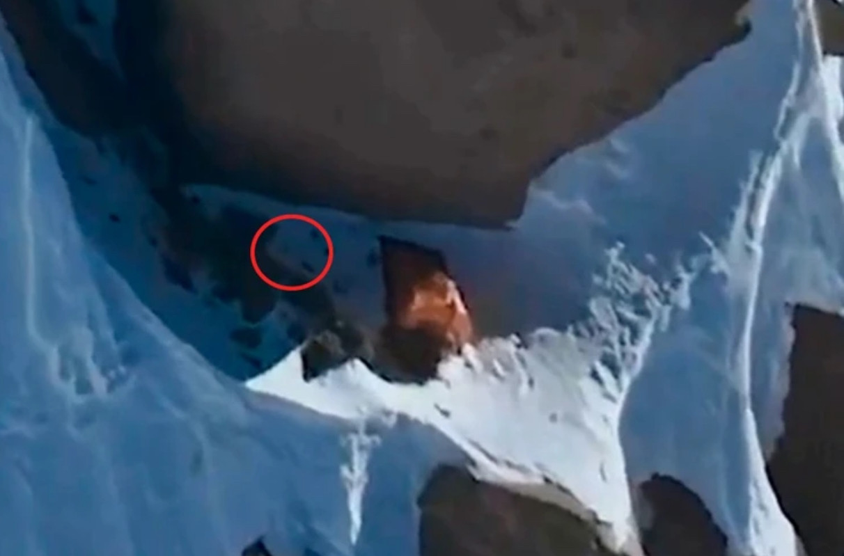 Съёмка 19 августа — рюкзака у палатки нет. Фото: скриншот видео Андрея Моглеваного