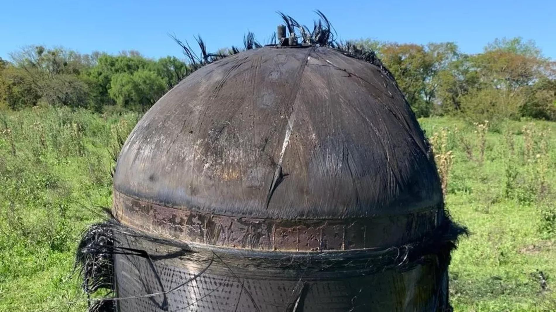 Фото: Mirror / Jam Press