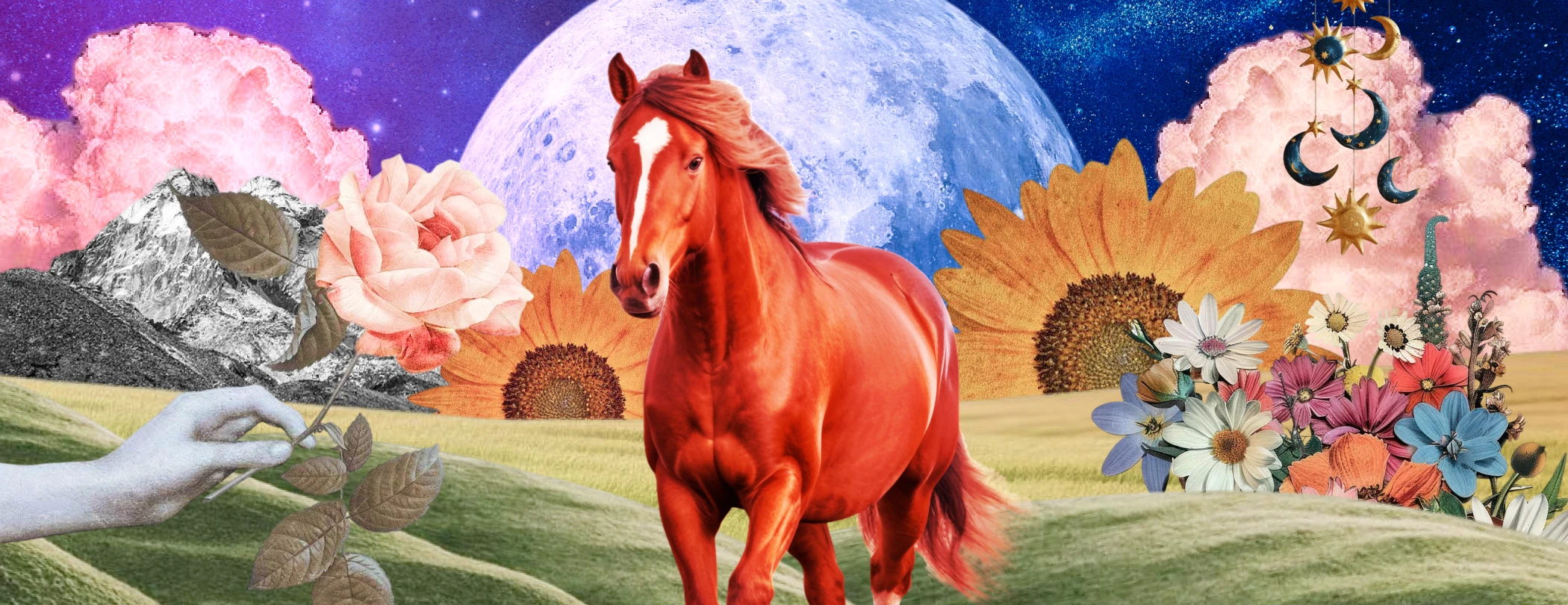 Коллаж Super, freepik.com