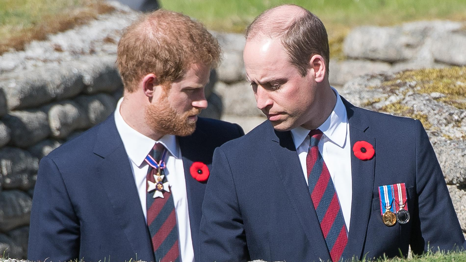 Принцы Гарри и Уильям. Фото: Getty Images
