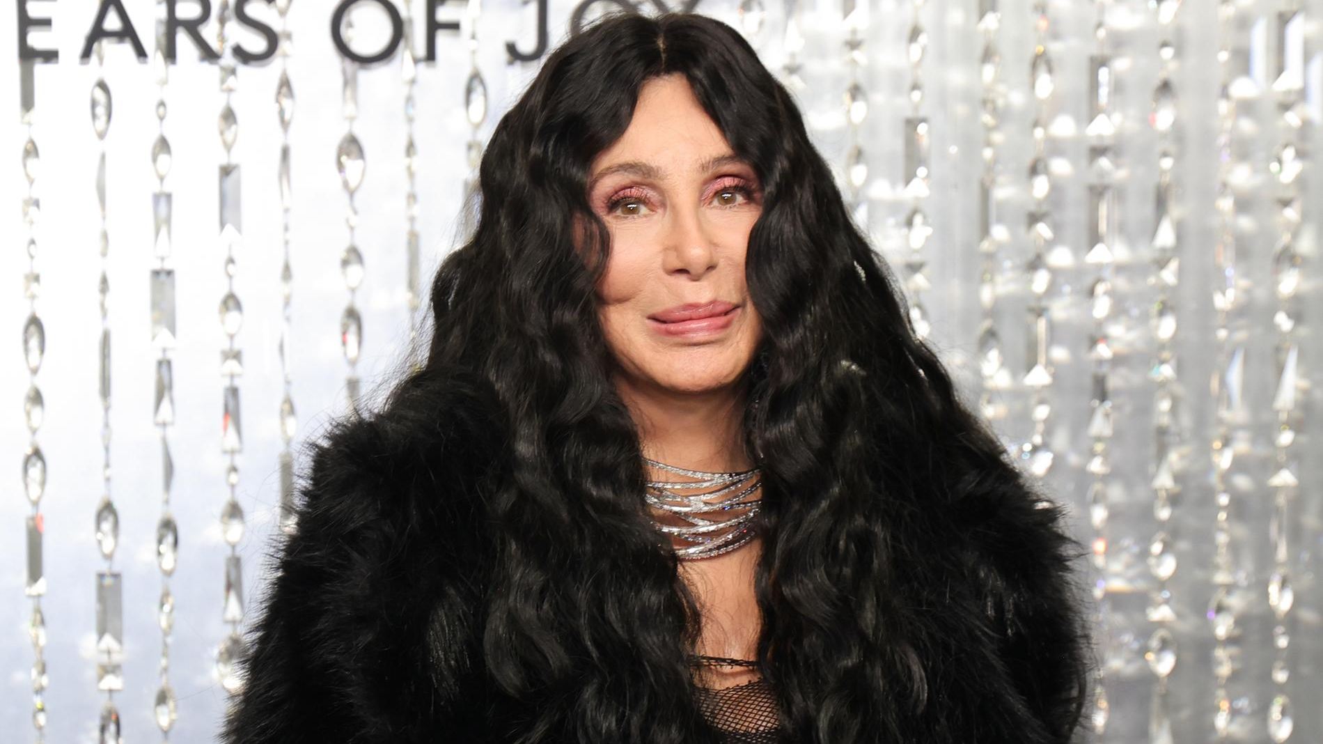 Шер. Фото: Getty Images