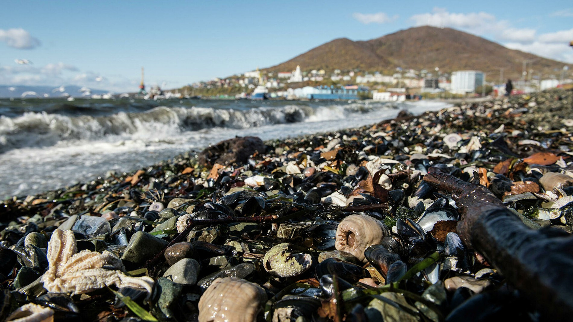 Фото: РИА «Новости»