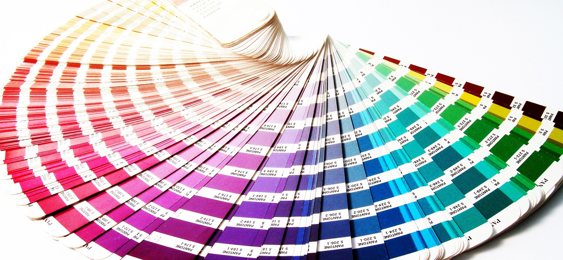 Фото: Pantone
