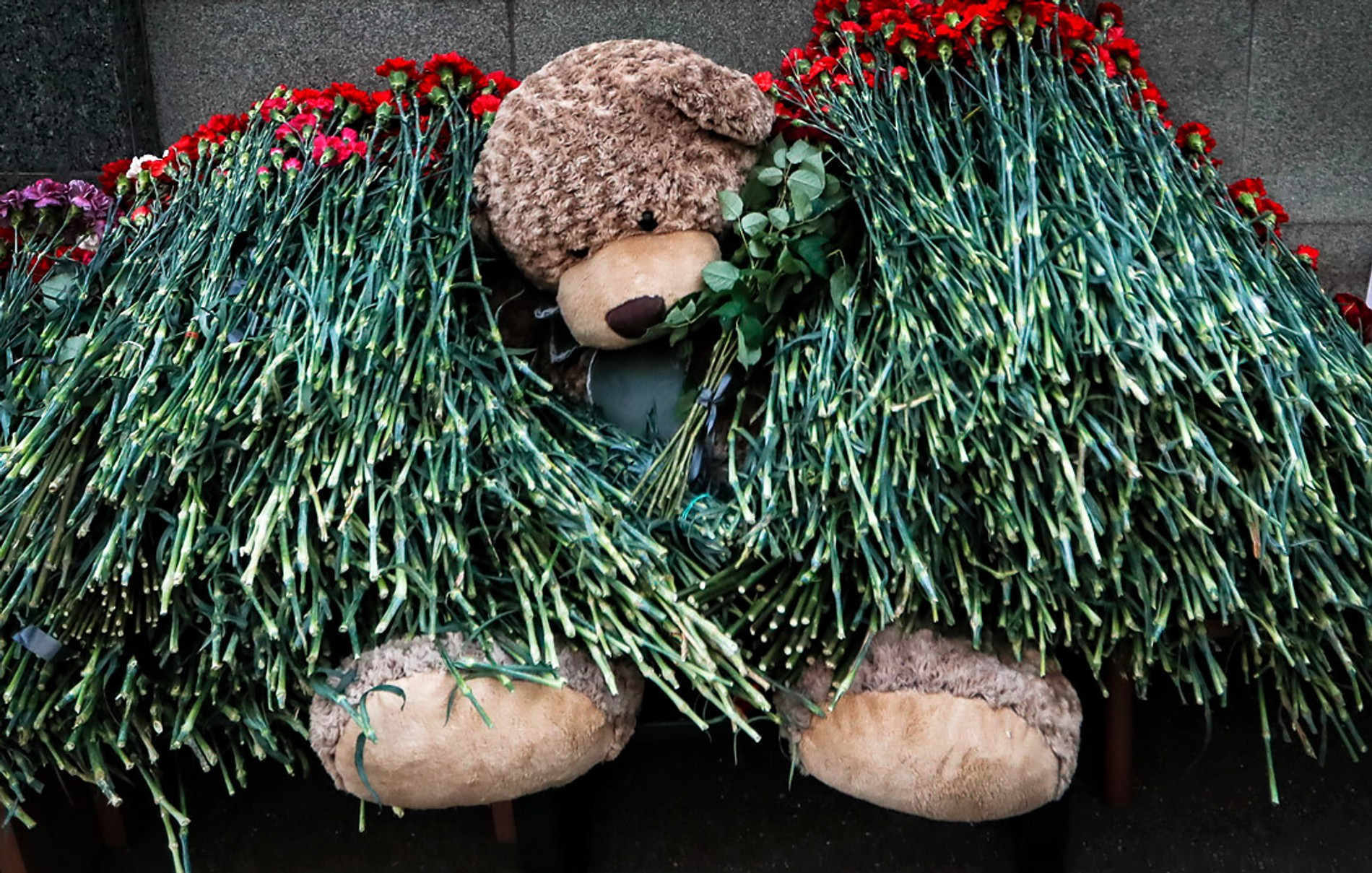 Фото: EPA/Vostock-photo