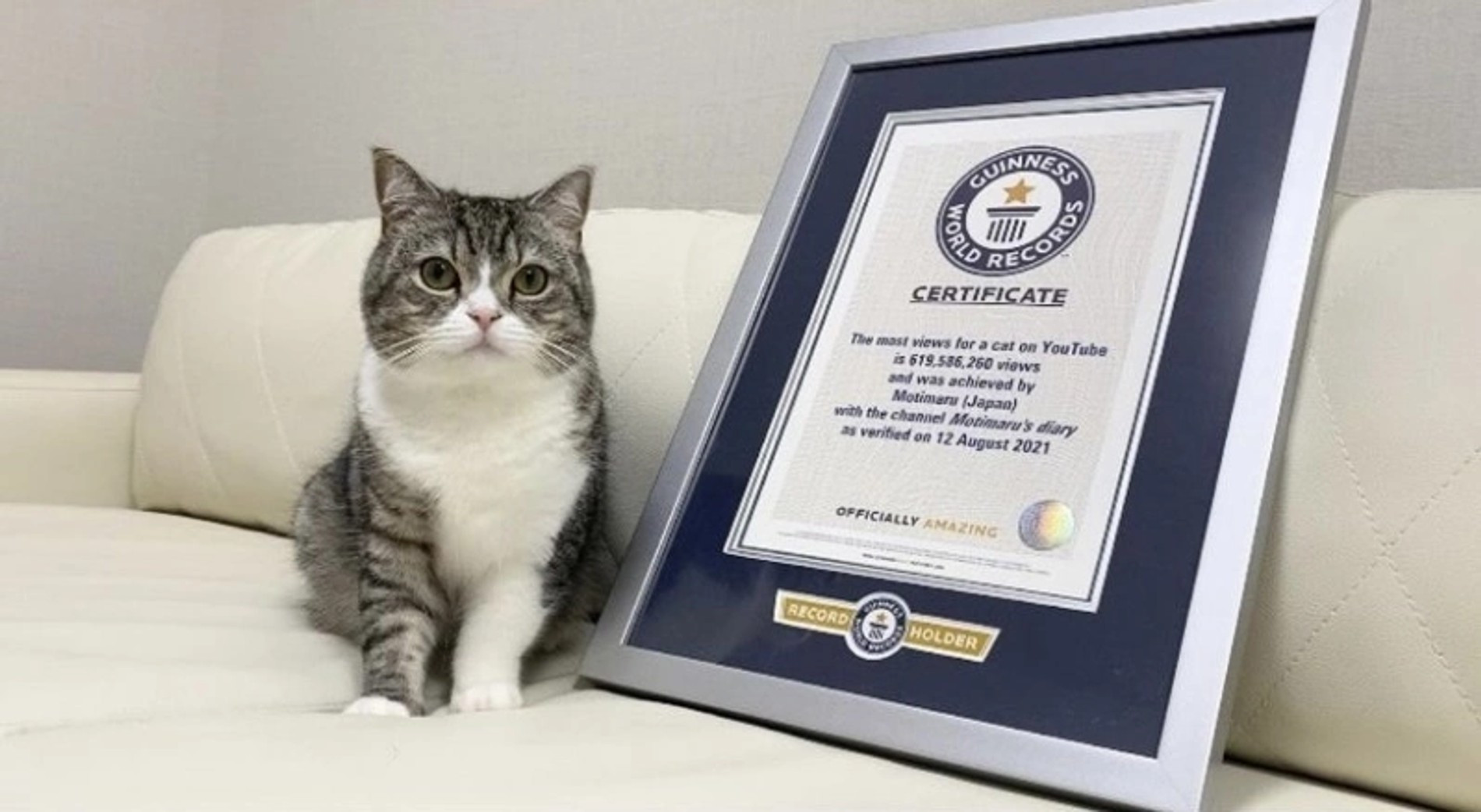 Кадр из видео