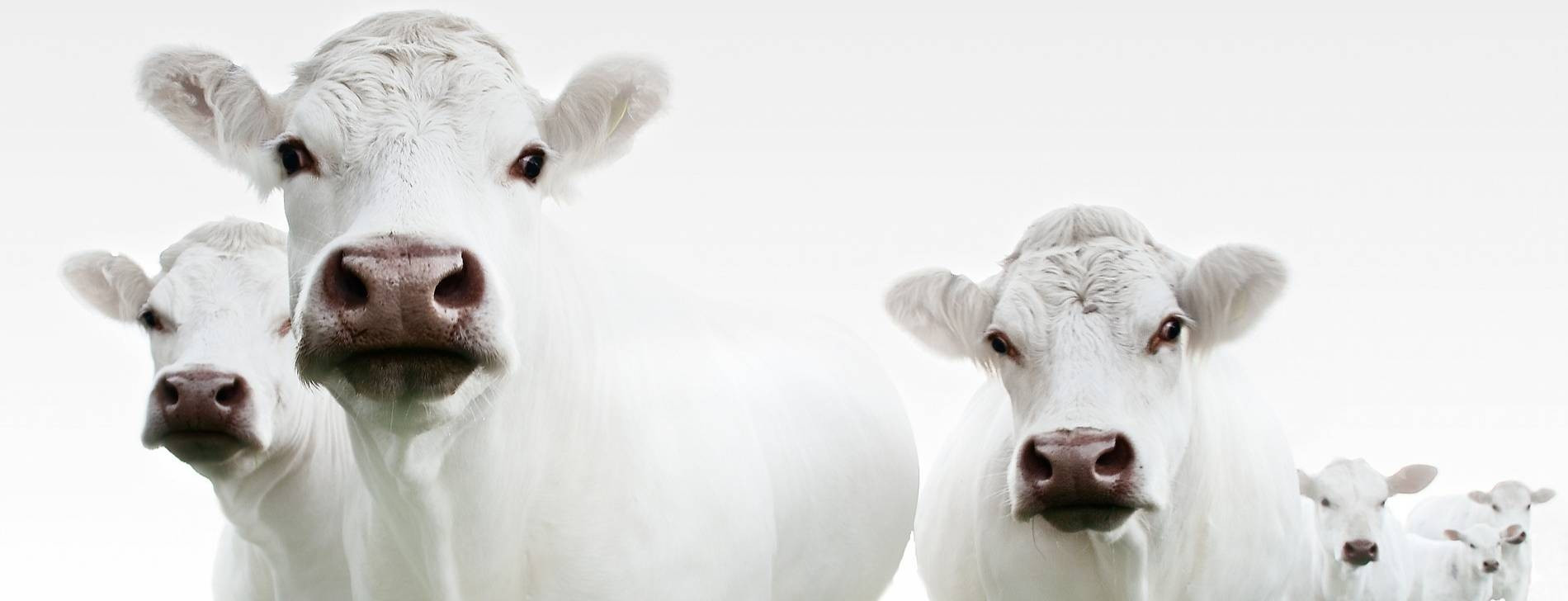 Фото: Getty Images