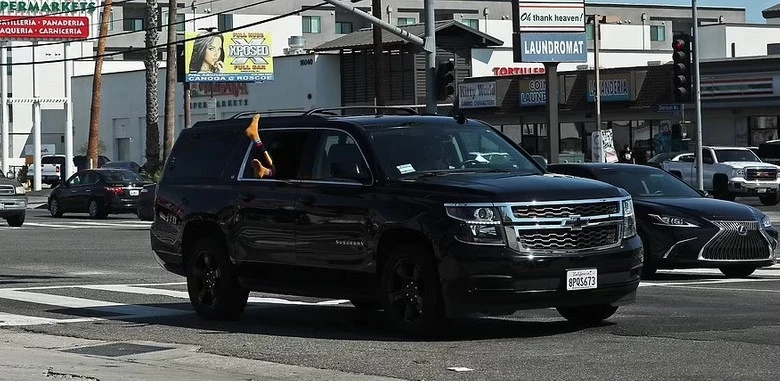 Фото: Daily Mail