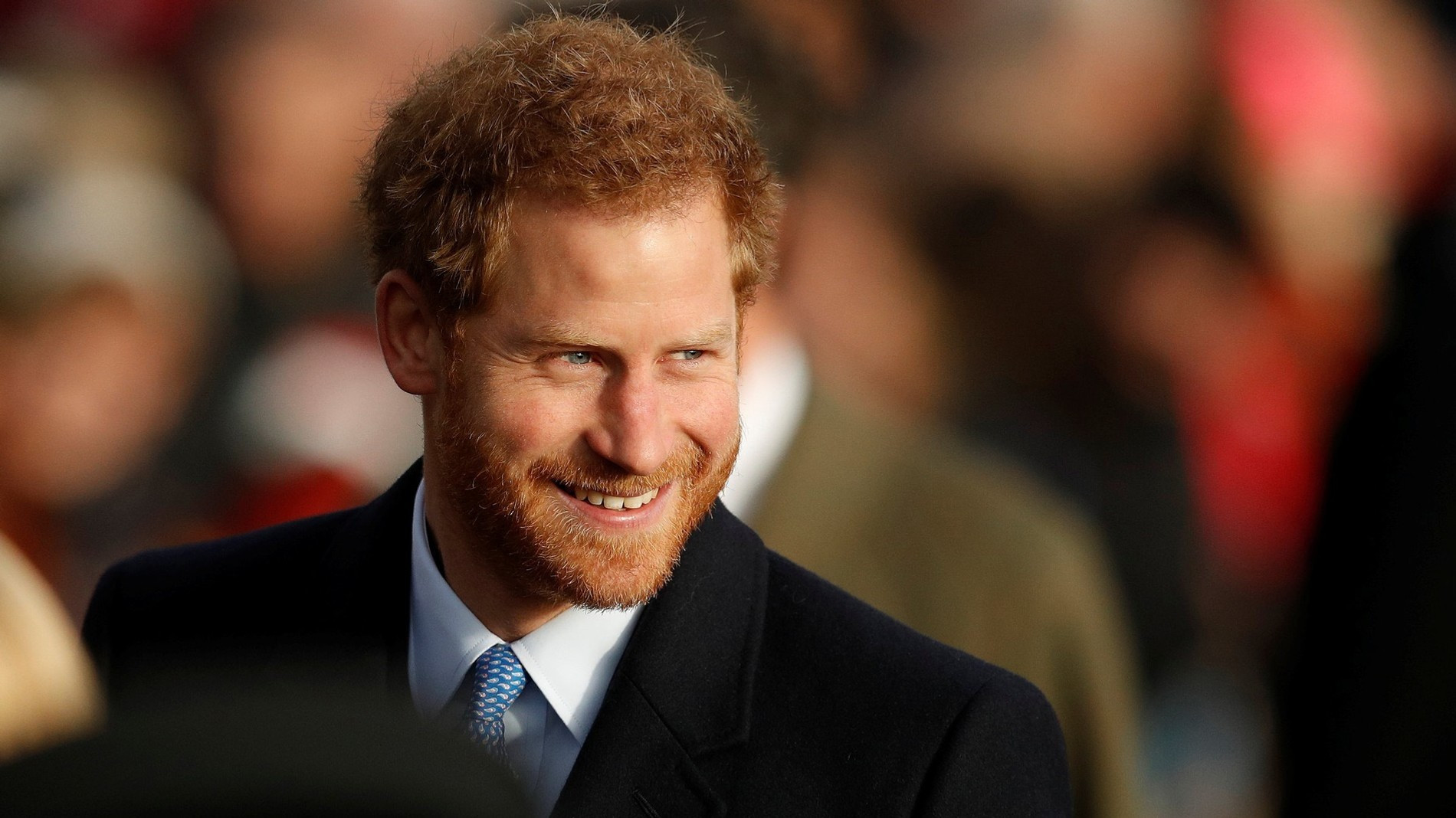 Принц Гарри
Фото: paparazzi.ru