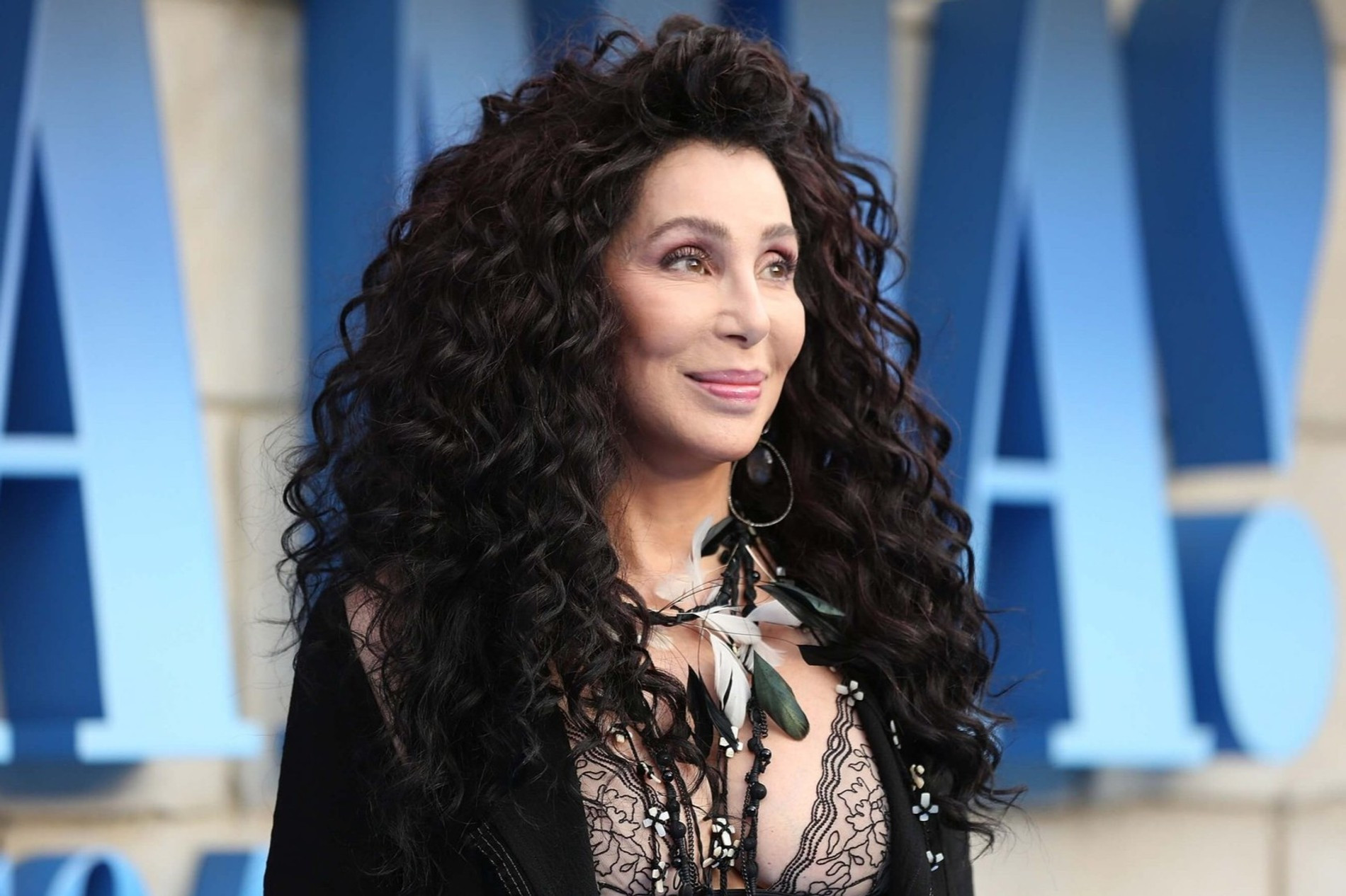 Шер
Фото: EPA Images