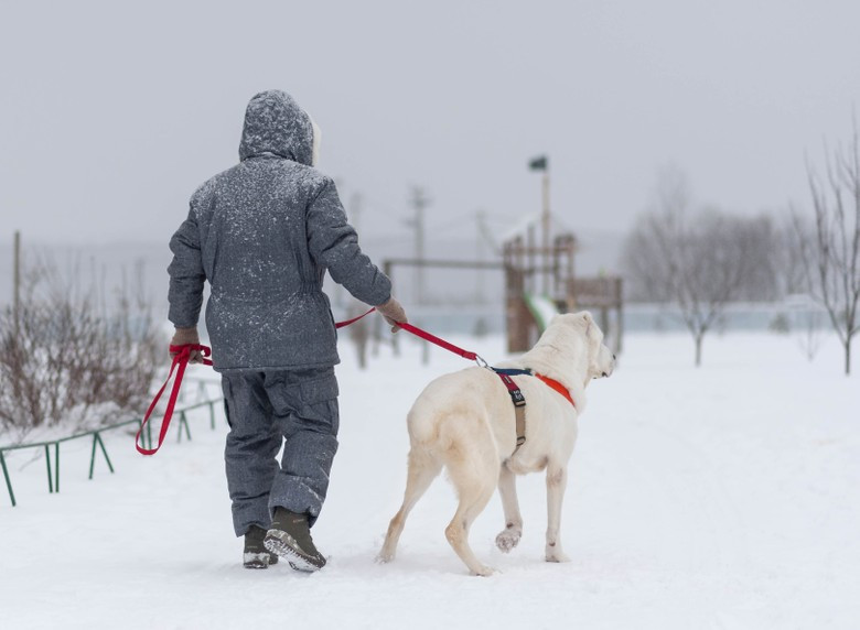Аза на прогулке. Фото: DogSpace / Виктория Дьячкова