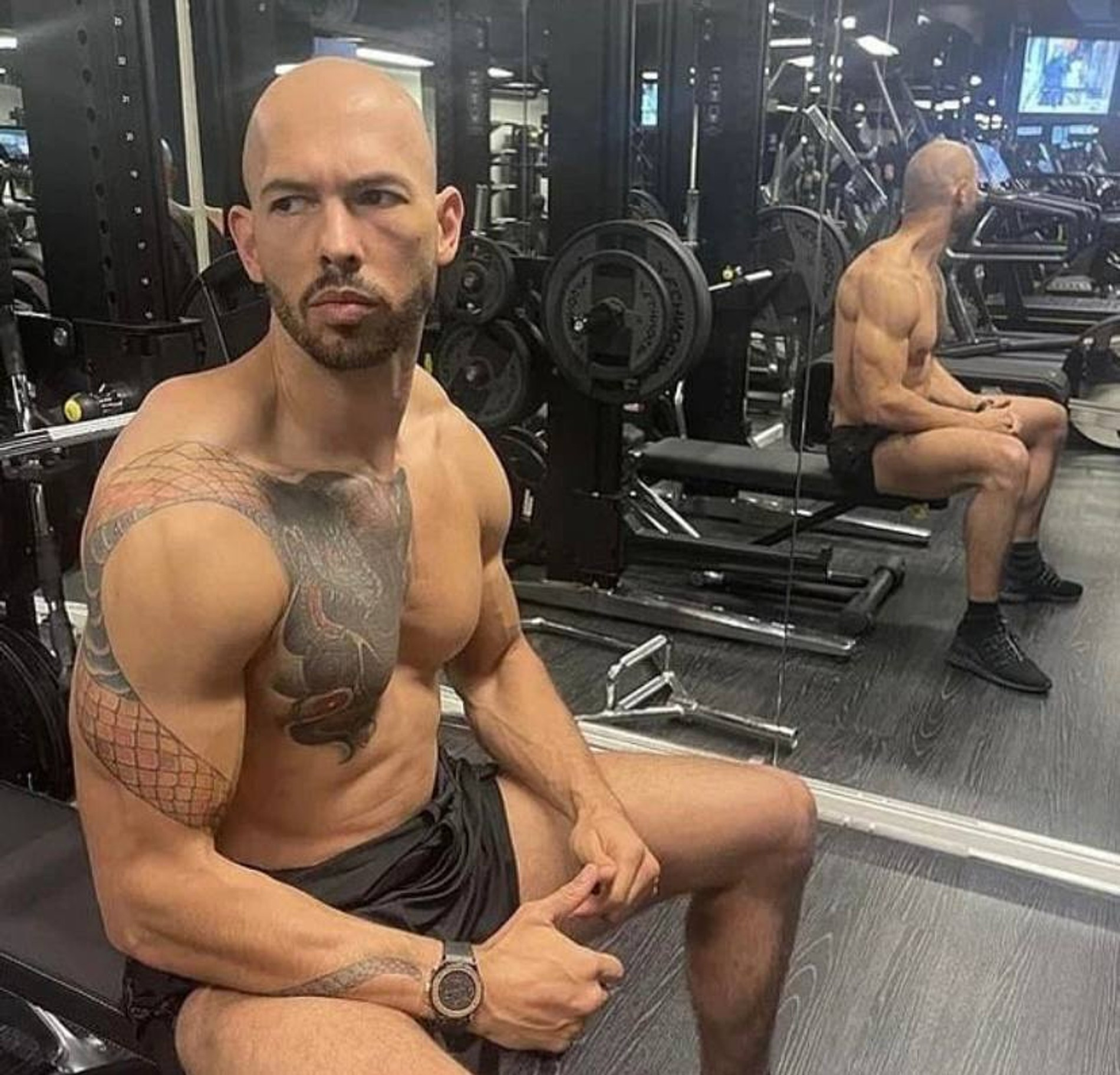 Эндрю Тайт 
Фото: Daily Mail