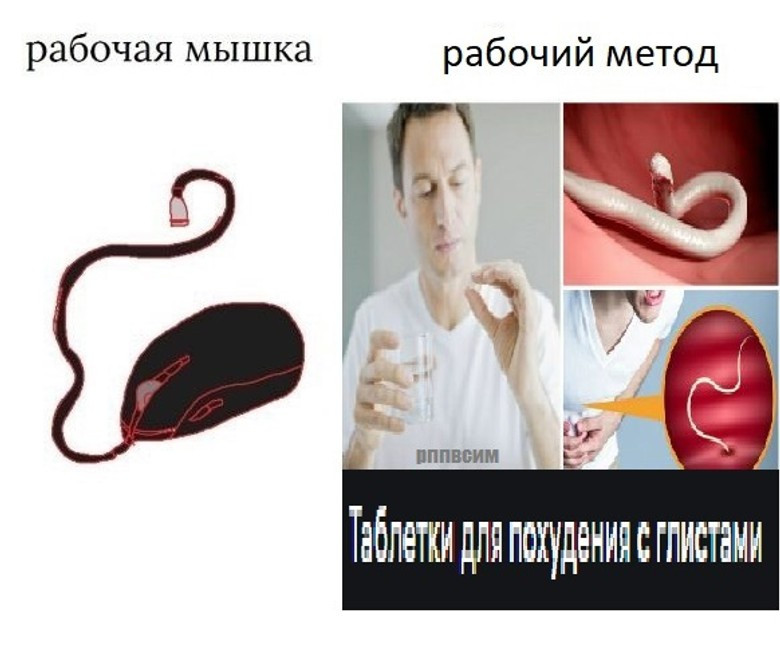 Мем из сообщества «РПП в схемах и мемах». Источник: соцсети