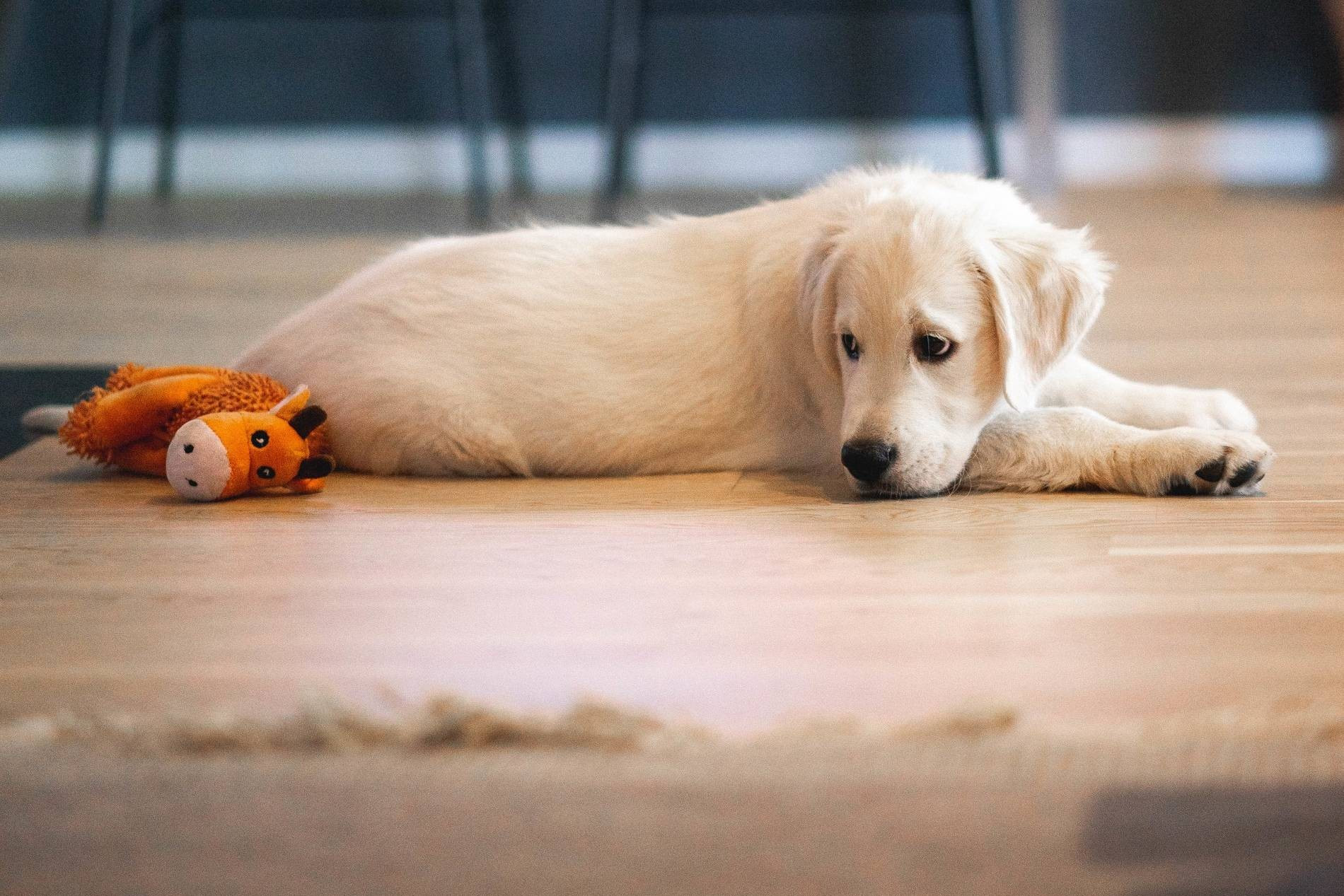 Фото: wirestock freepik