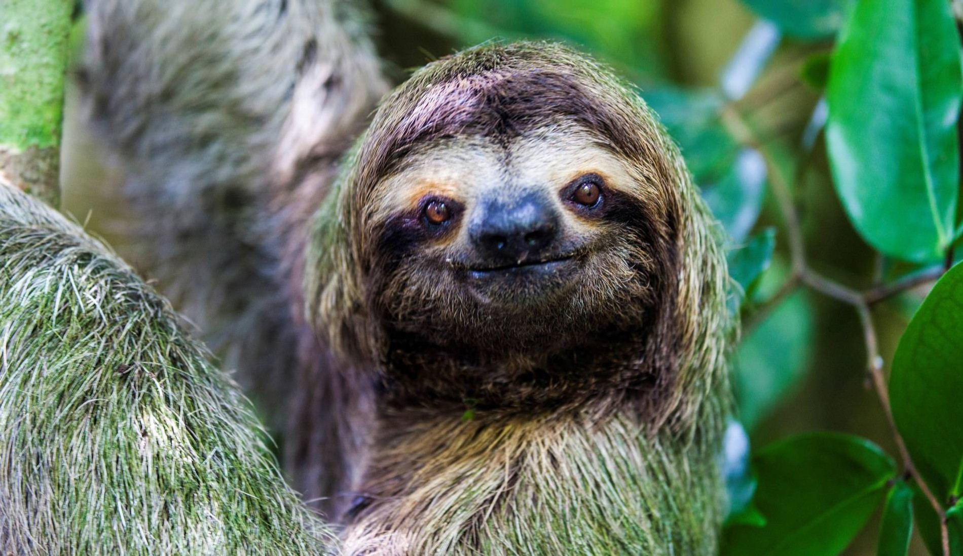 Фото: Getty Images