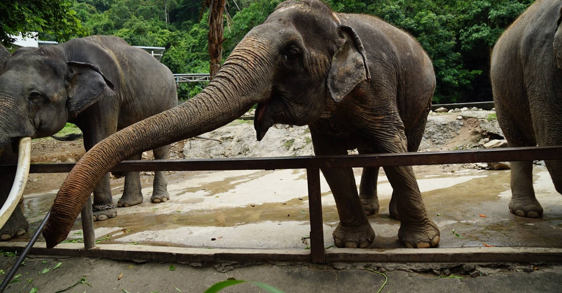 Фото: Getty images