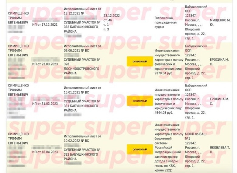 Задолженности Трофима Симищенко. Фото: скрин с сайта ФССП