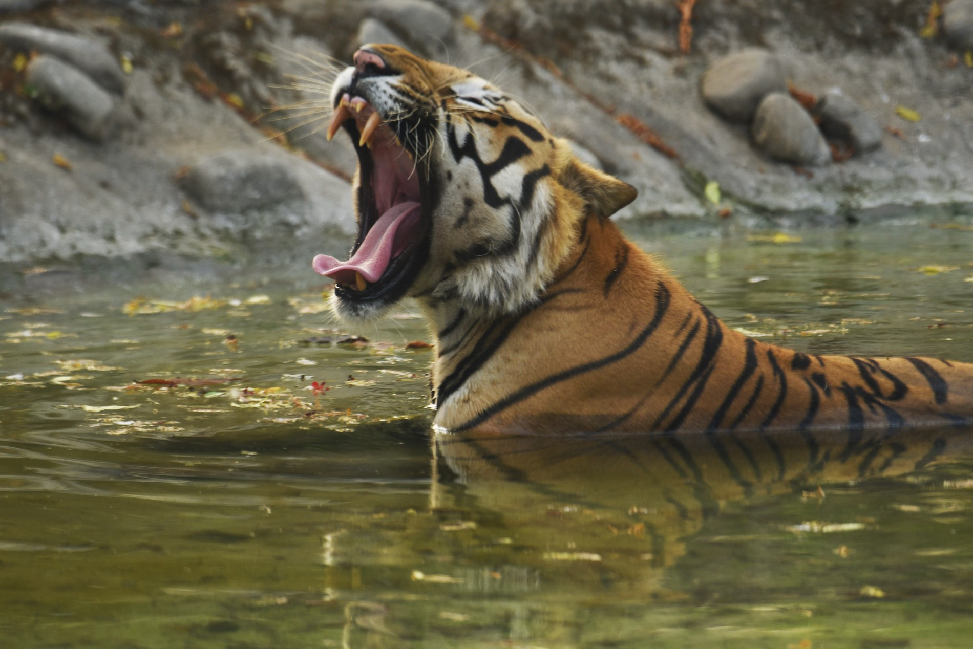 Фото: Getty Images