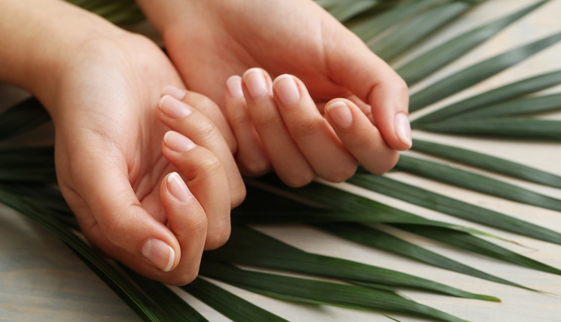 Фото: Racool_studio / Freepik