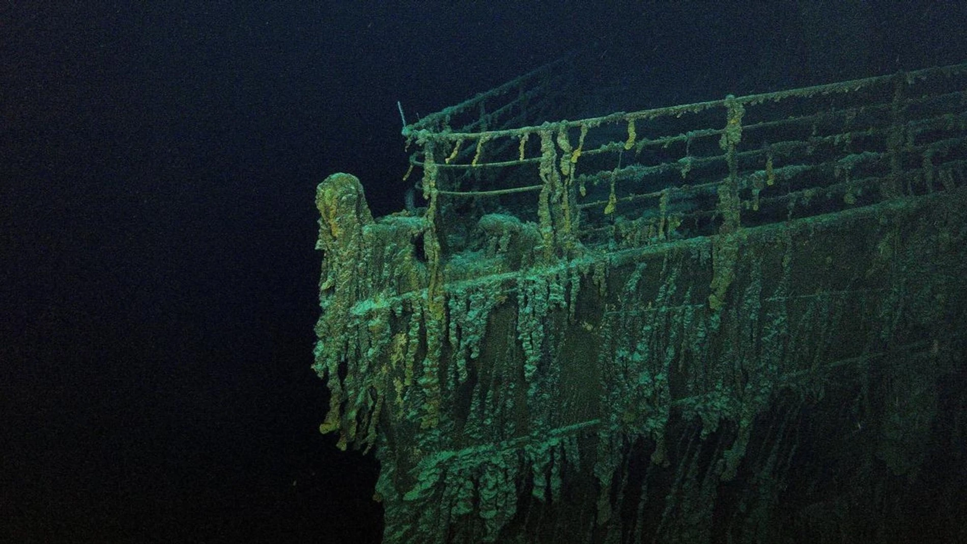 Фото: Getty Images