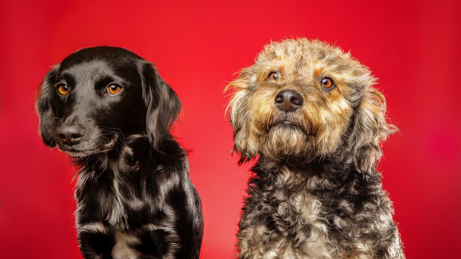 Фото: Getty Images