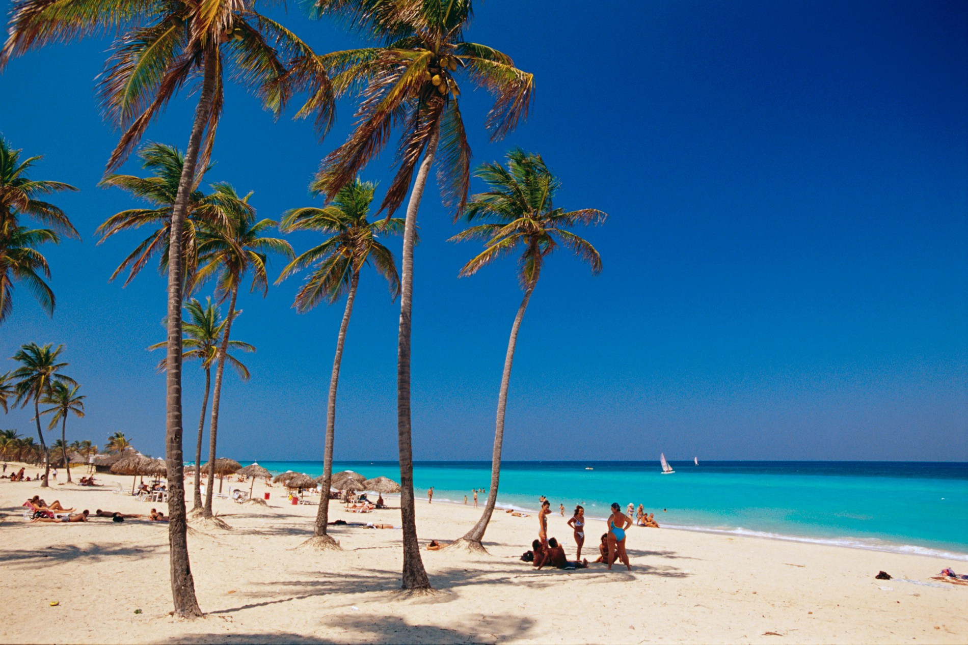 Фото: Getty Images