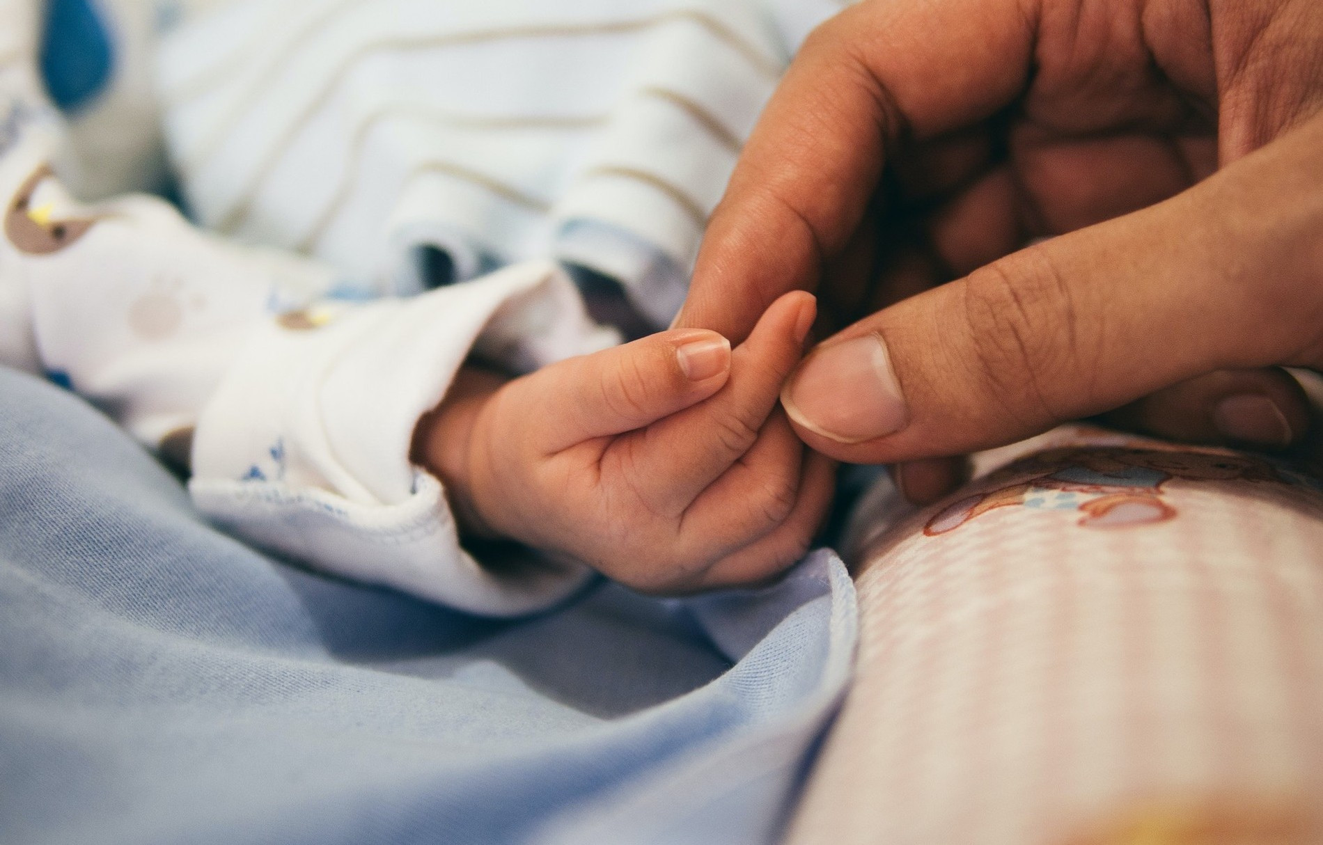 Фото: Aditya Romansa / Unsplash