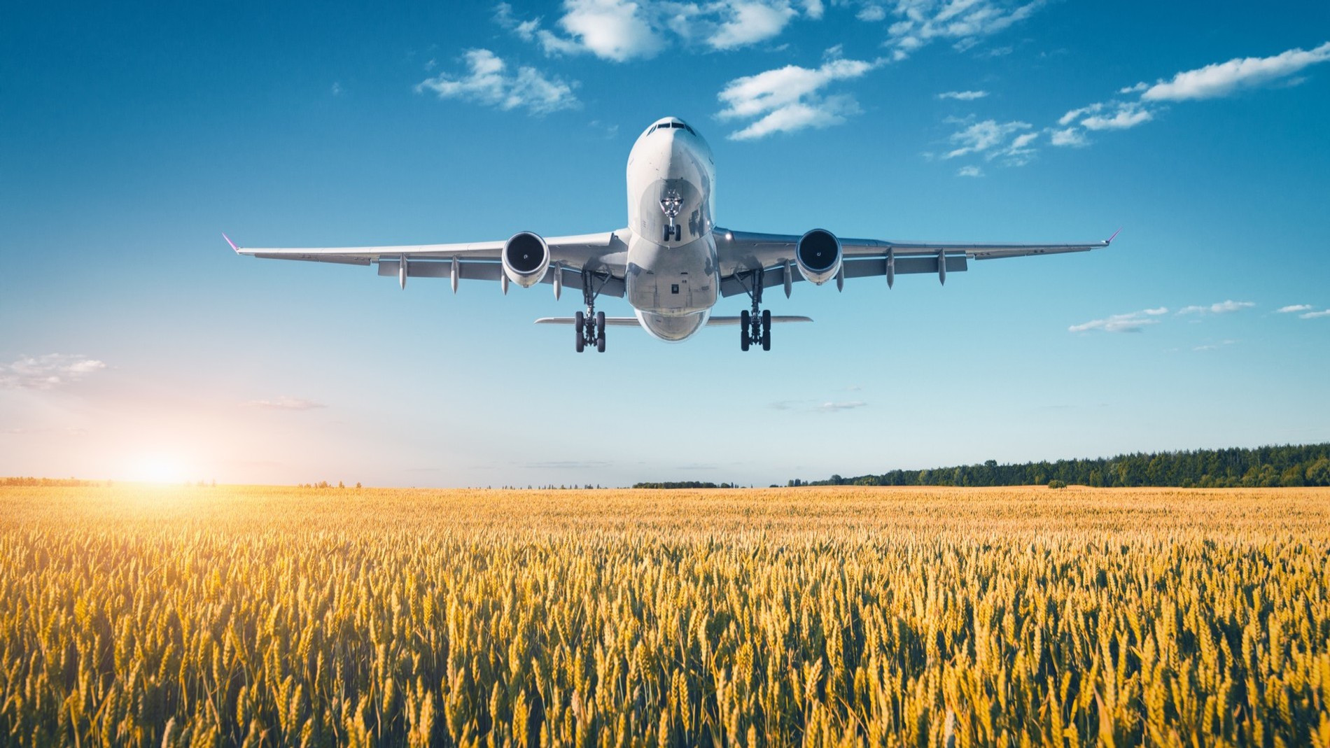 Фото: Getty Images