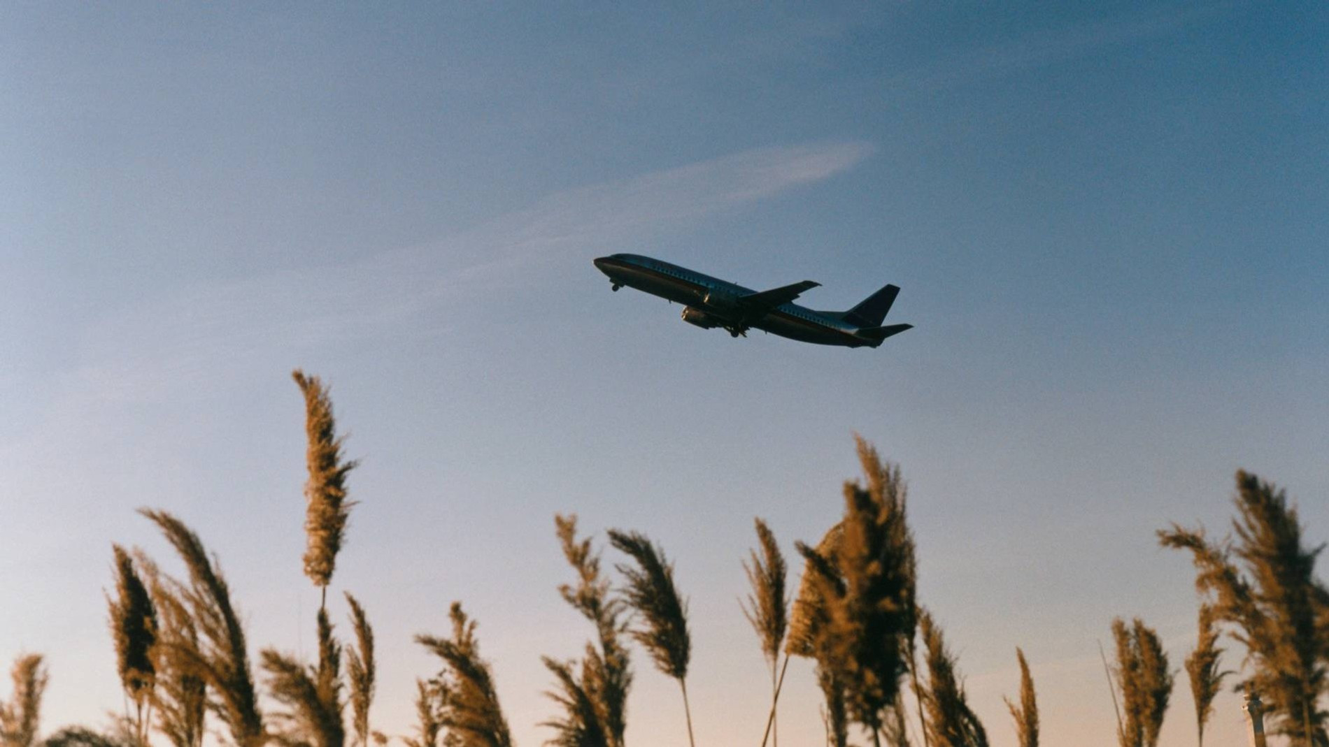 Фото: Getty Images