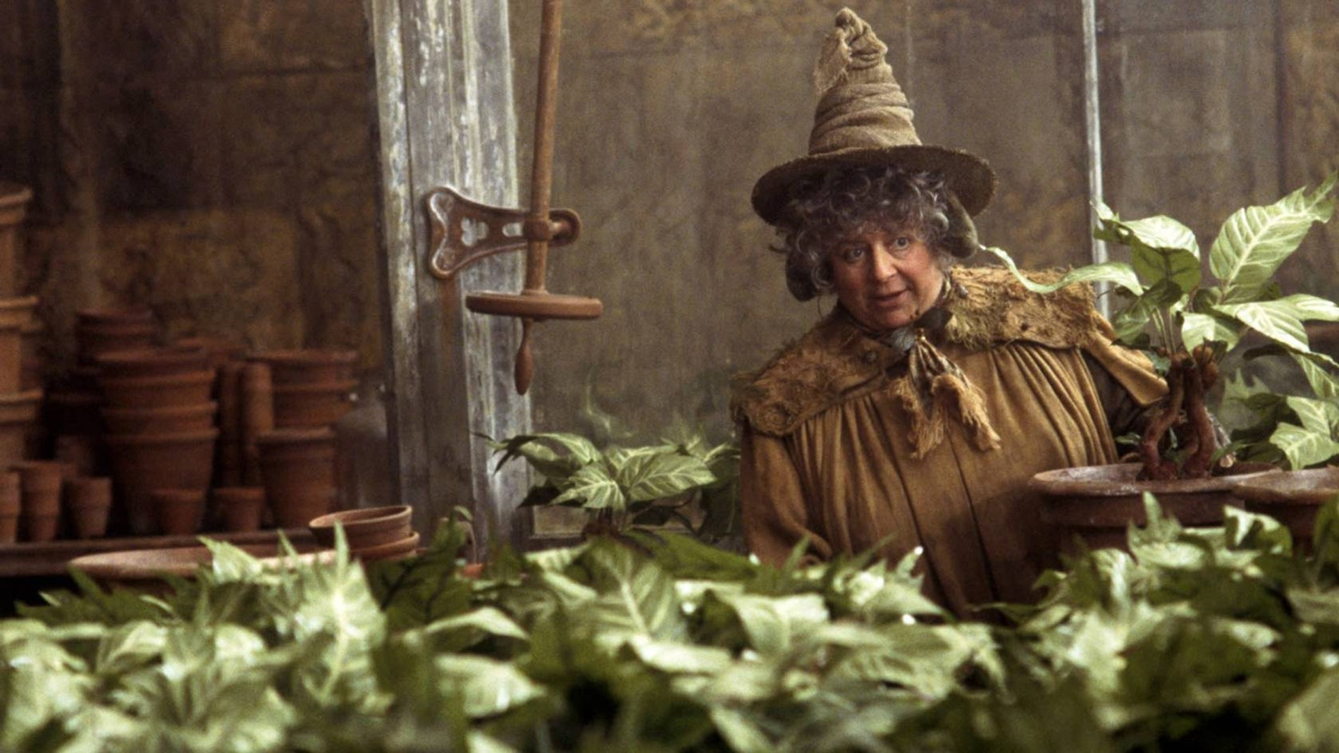 Мириам Маргулис. Фото: кадр из фильма «Гарри Поттер и тайная комната»