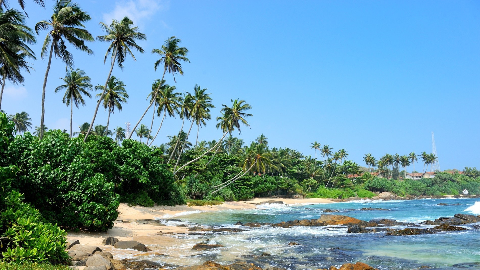 Шри-Ланка. Фото: Freepik