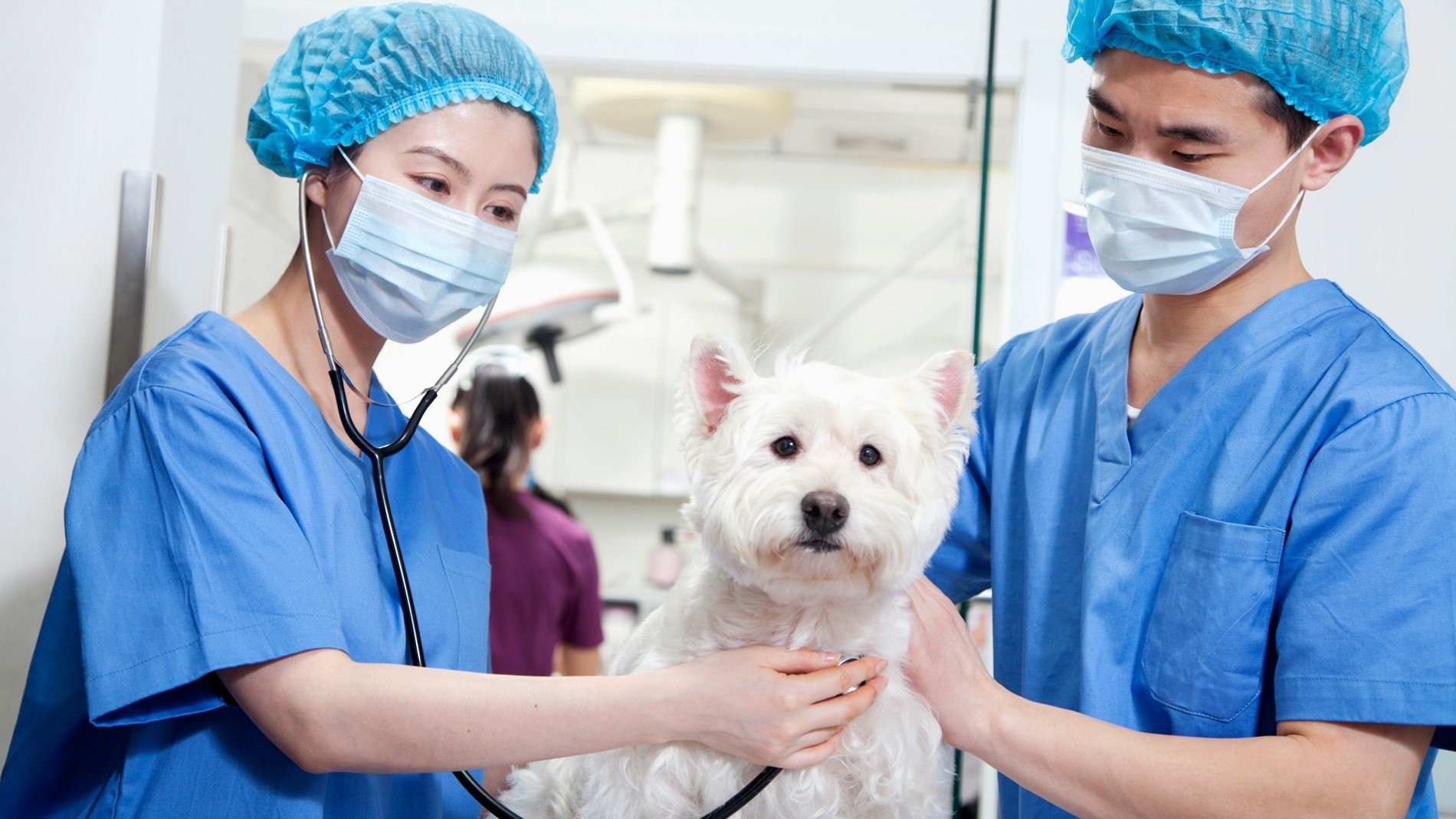 Фото: Getty Images