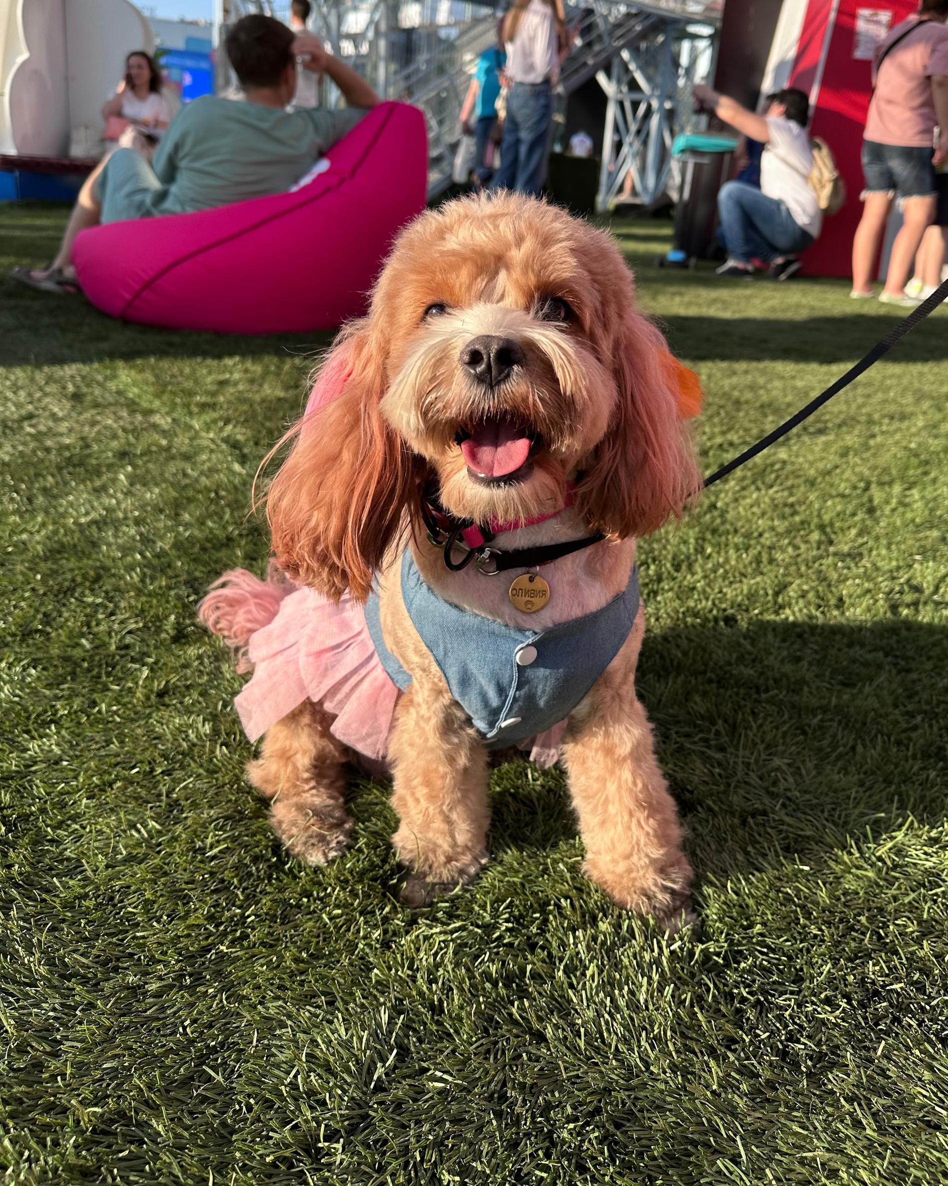 Участник фестиваля «Лапки». Фото: Super