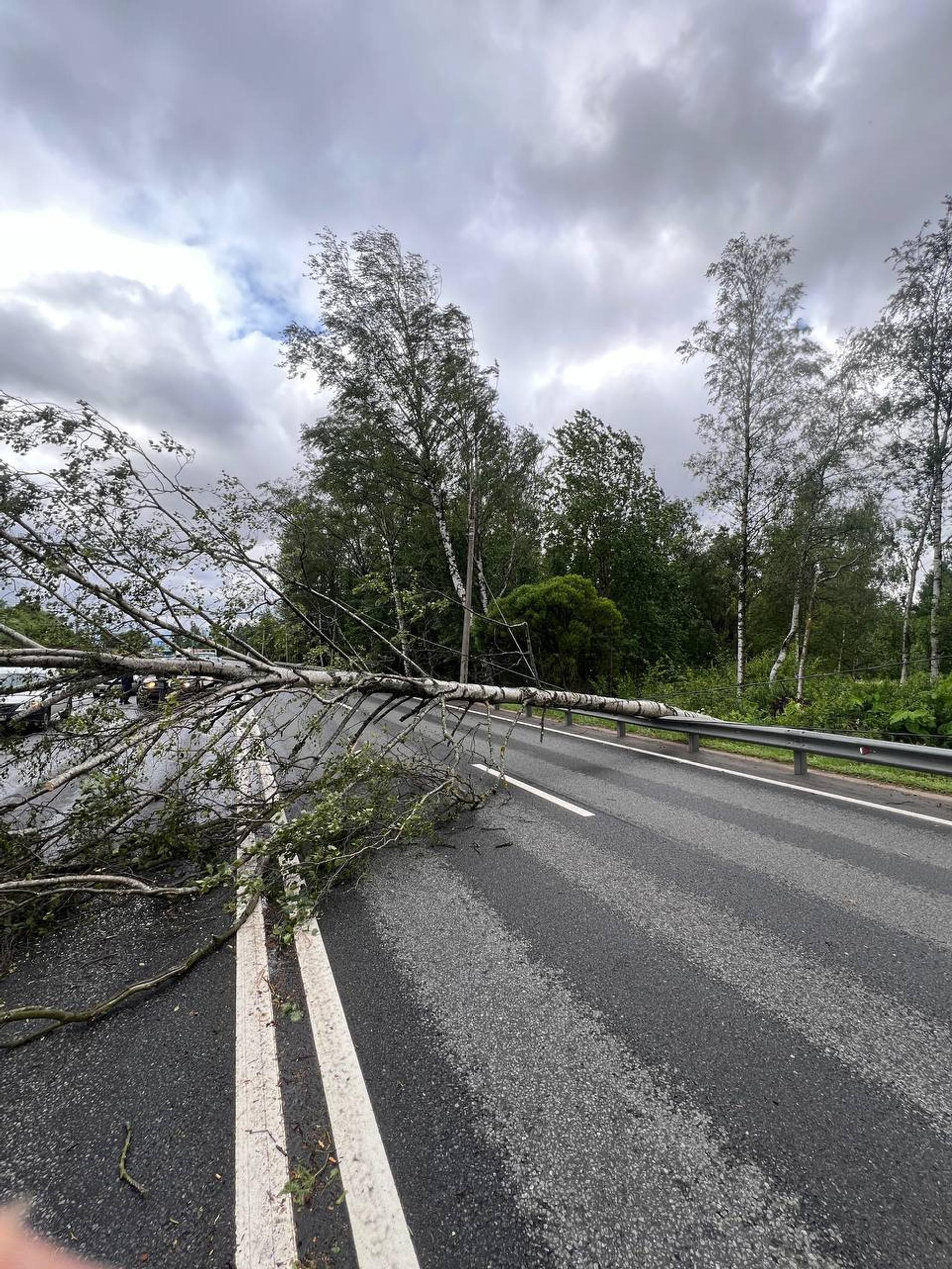 Фото: Telegram @shot_shot