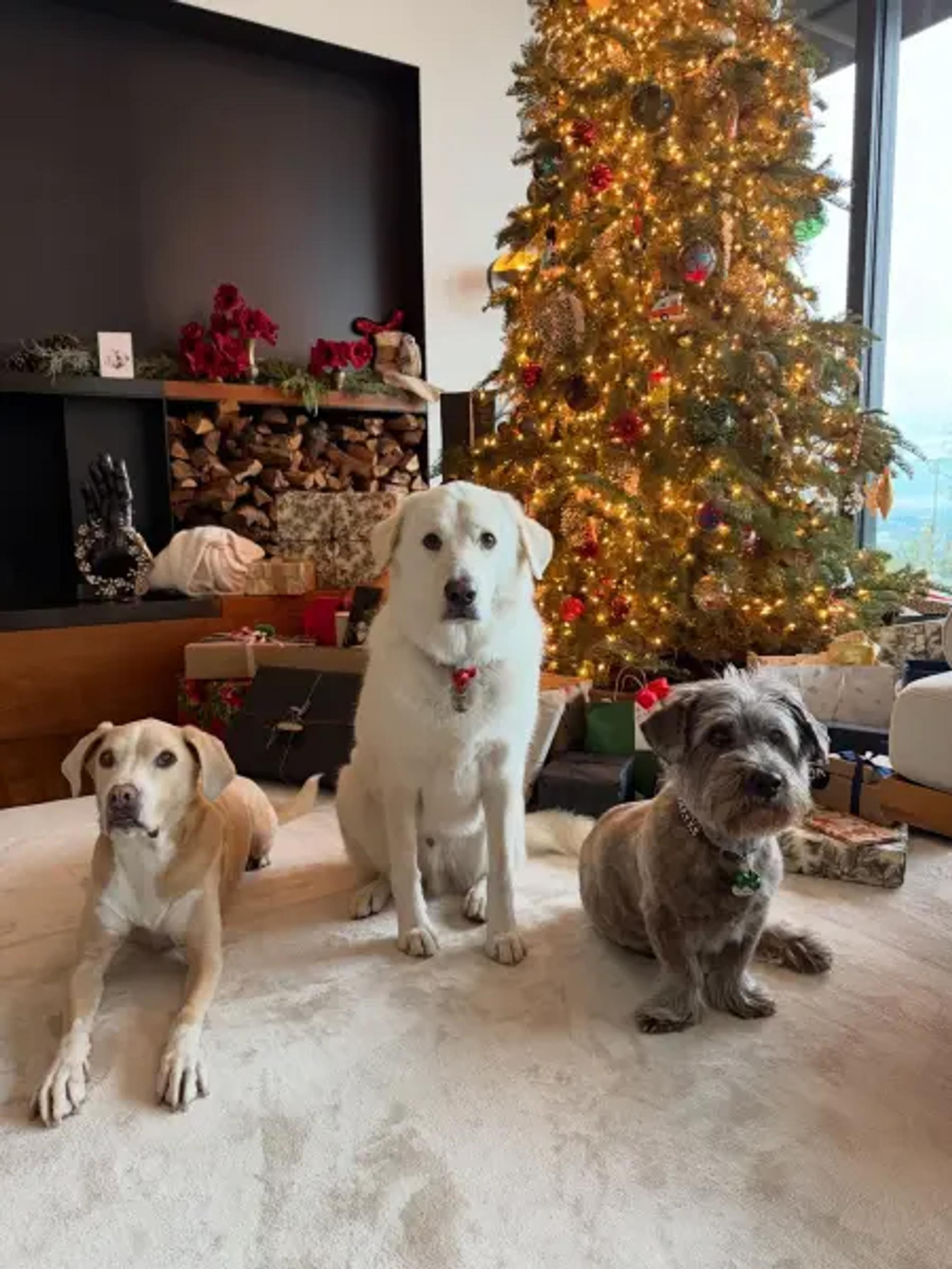 Фото: Инстаграм (запрещён в РФ) @jenniferaniston