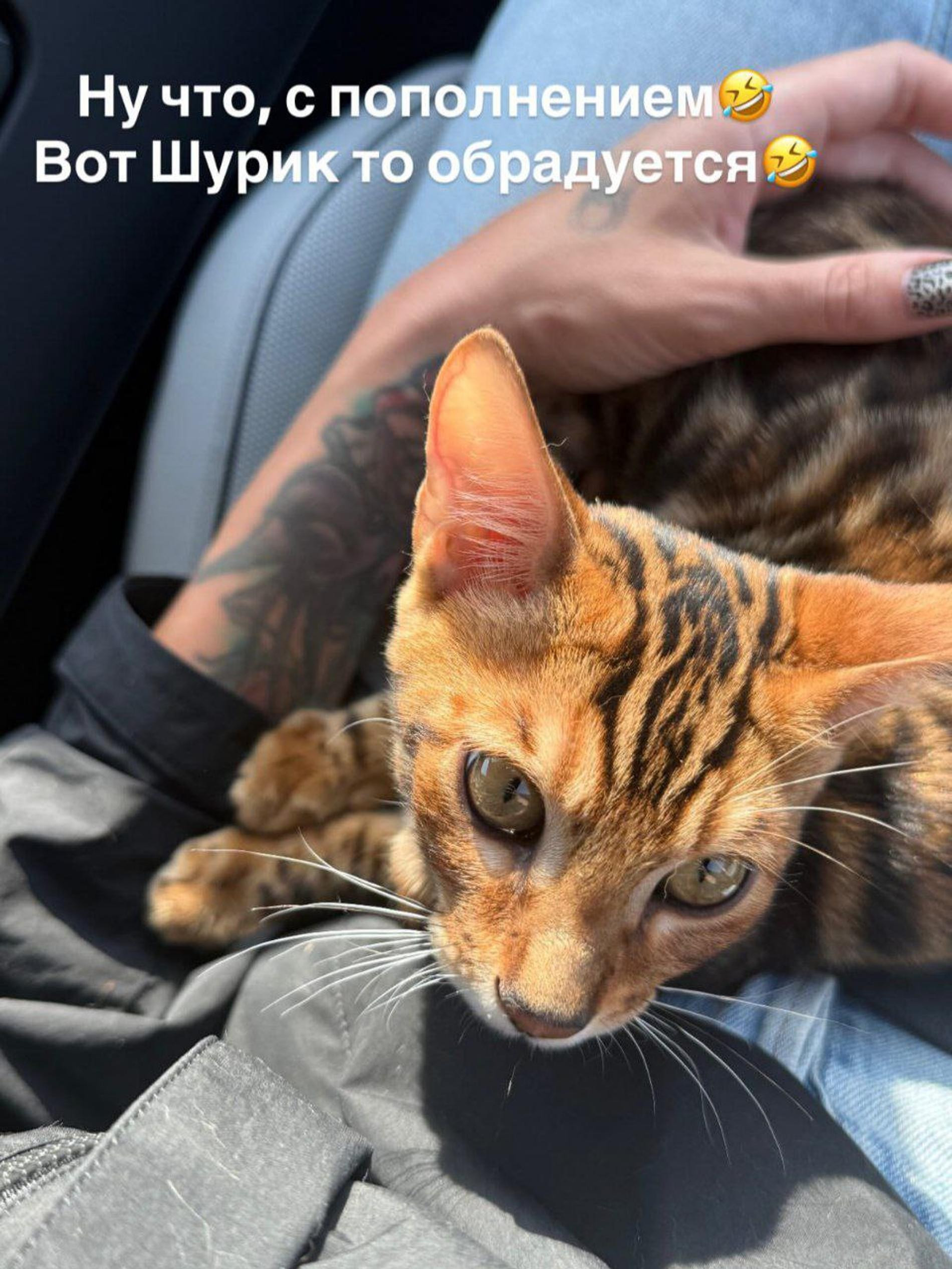 Фото: Instagram (Запрещён в РФ) @_agentgirl_