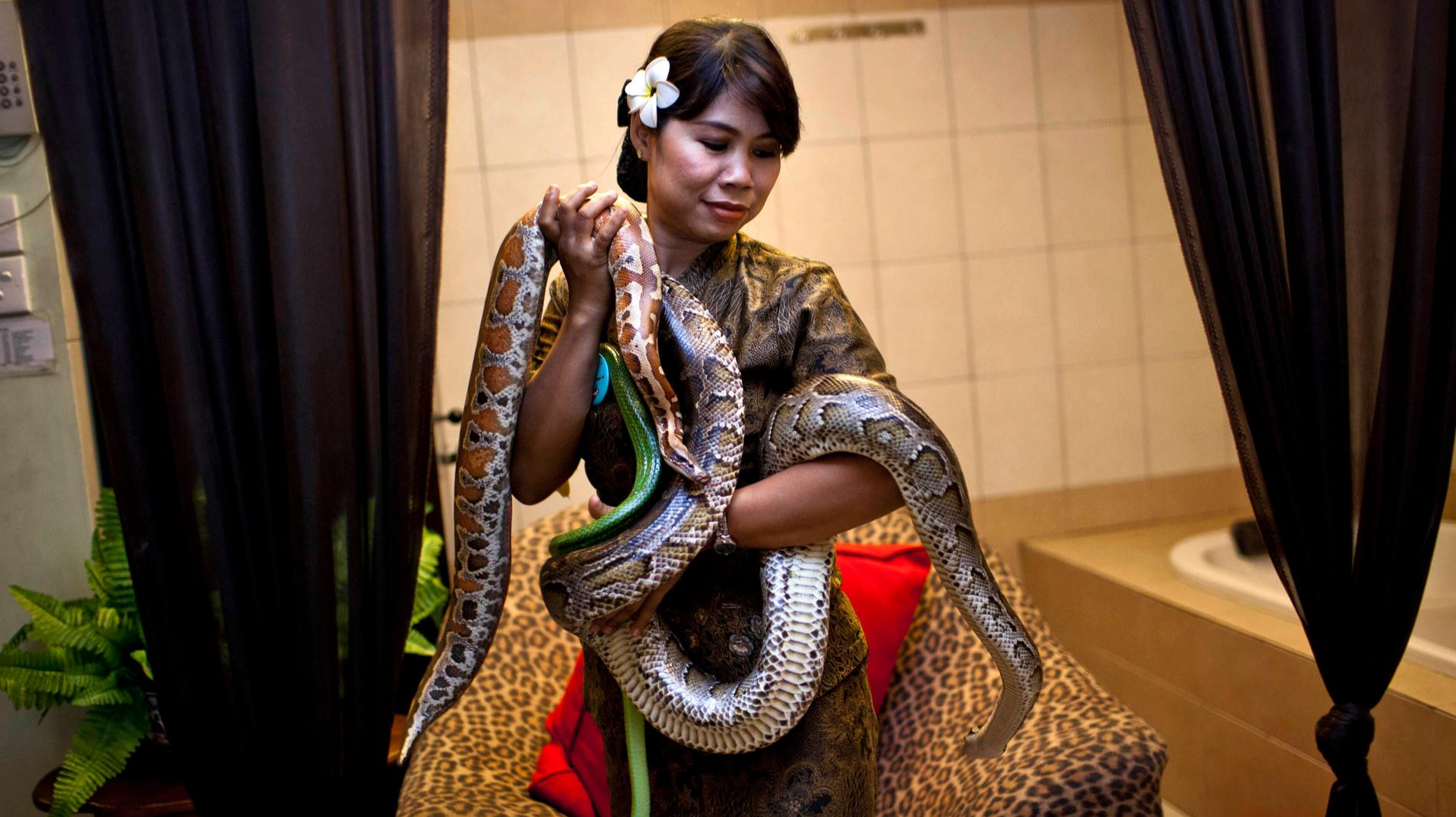 Фото: Getty Images