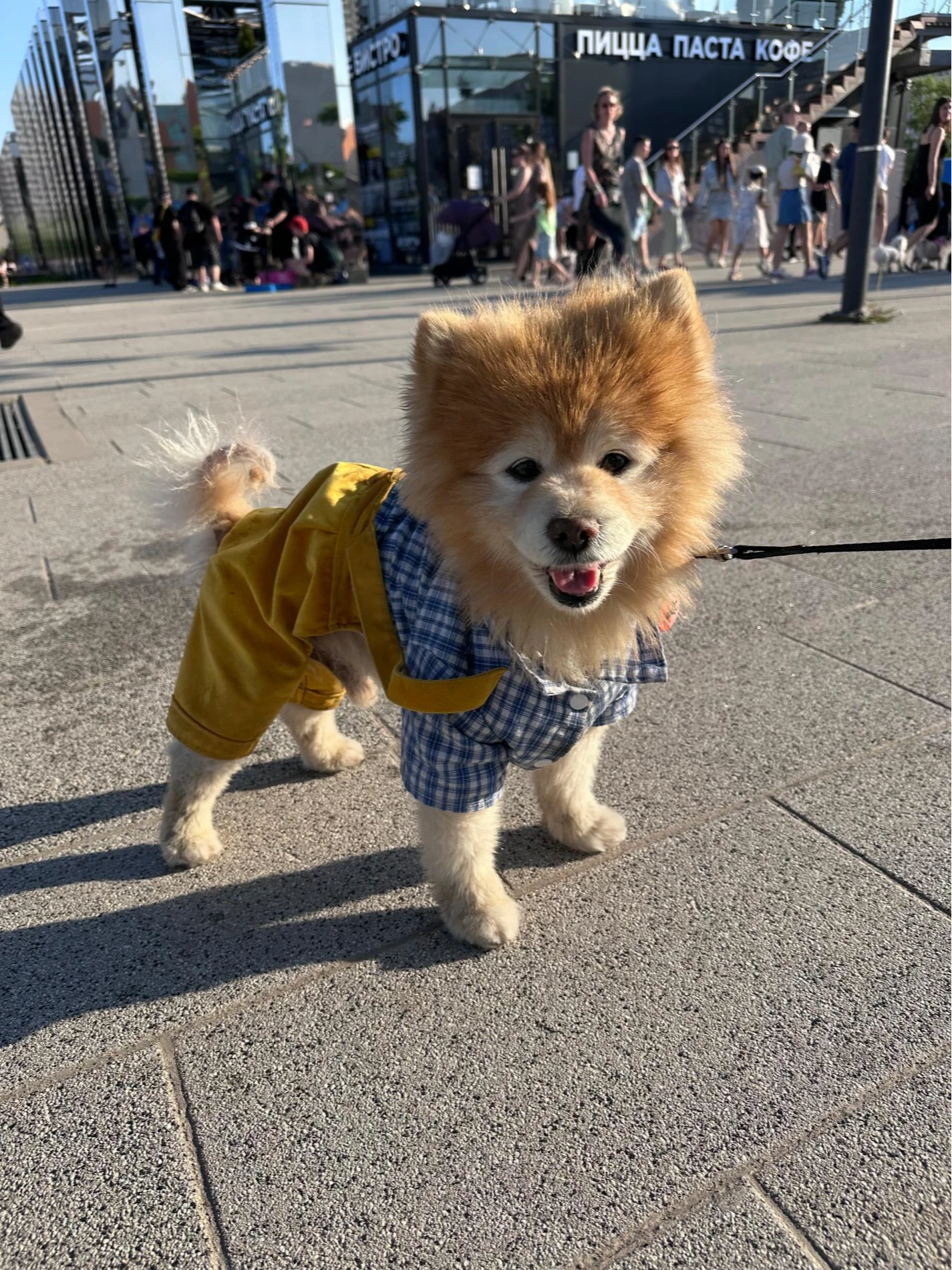 Участник фестиваля «Лапки». Фото: Super