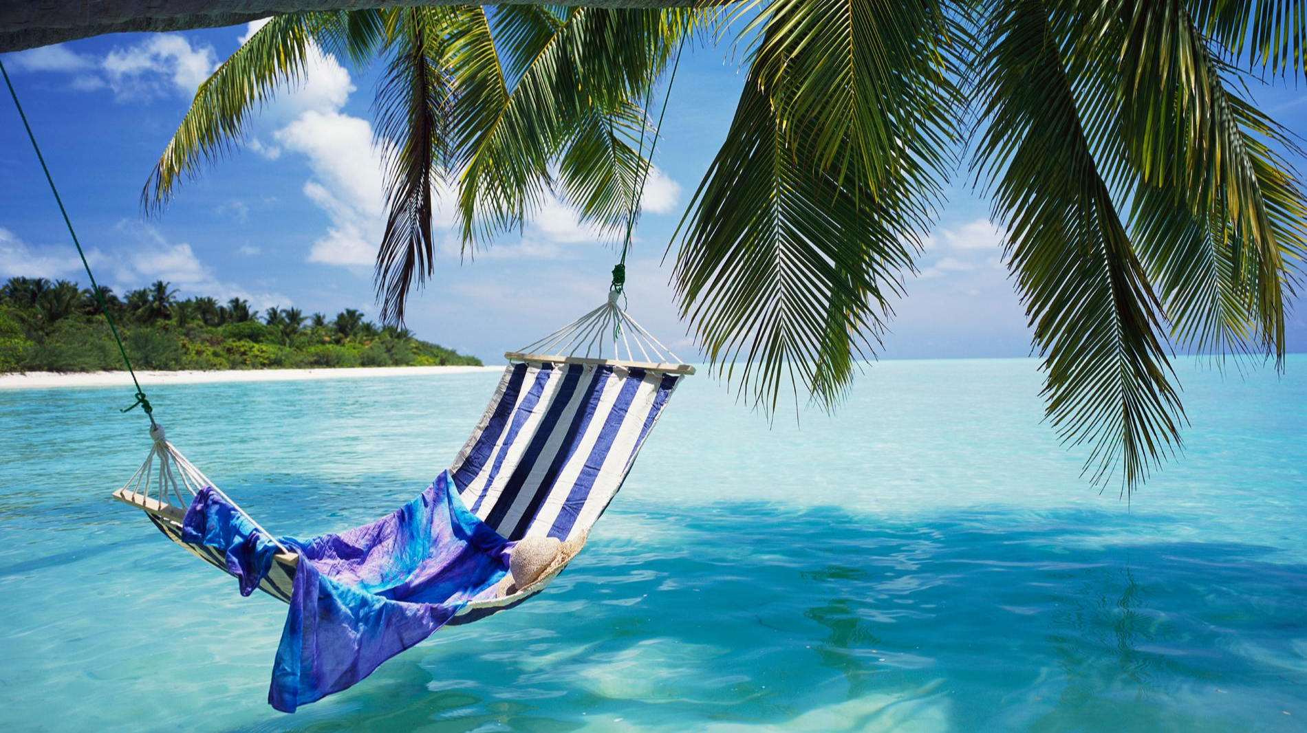 Фото: Getty Images