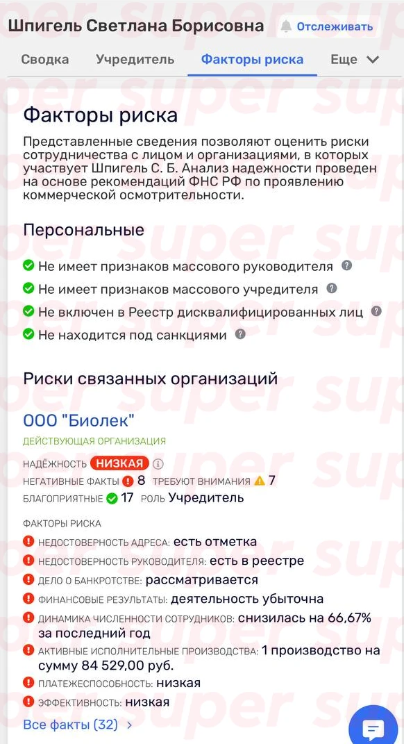 Данные о компаниях Светланы Шпигель. Фото: RusProfile
